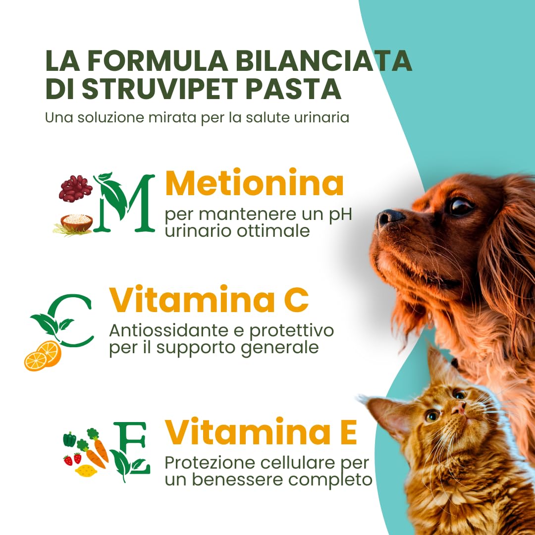 Camon StruviPet Pasta Vie Urinarie Cani e Gatti 100 g