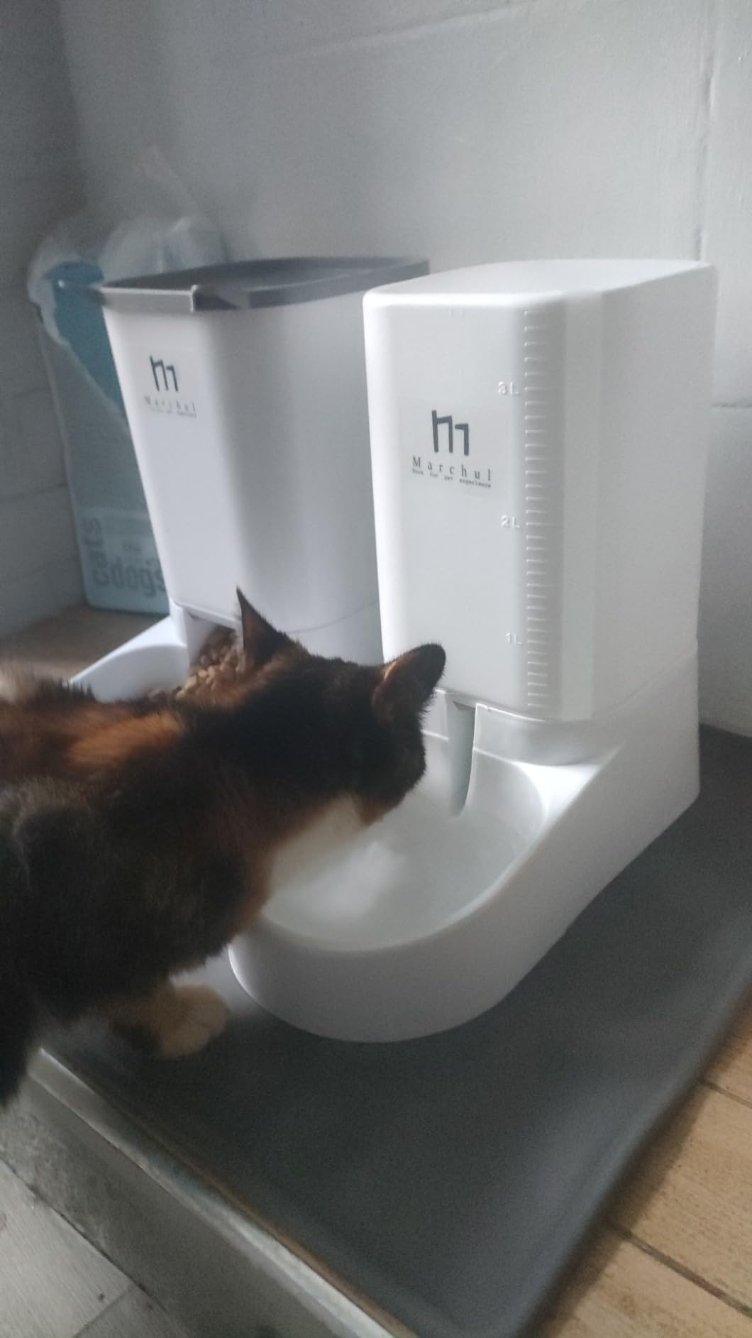 Marchul Dispenser Automatico Cibo e Acqua Cani e Gatti 3,8 L