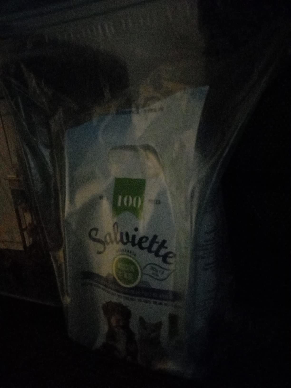 Camon Protection Salviette Detergenti Latte e Miele 100 Pezzi