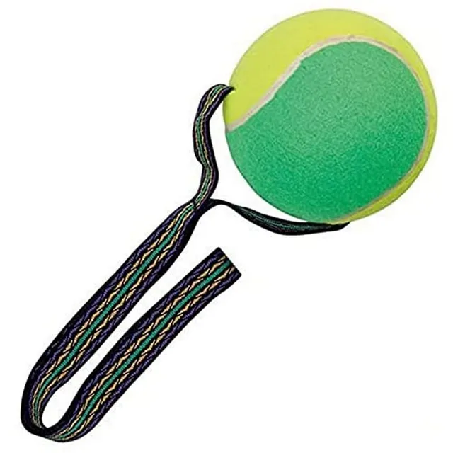 Arppe Tennis Megaball 3011010100 pallina cane