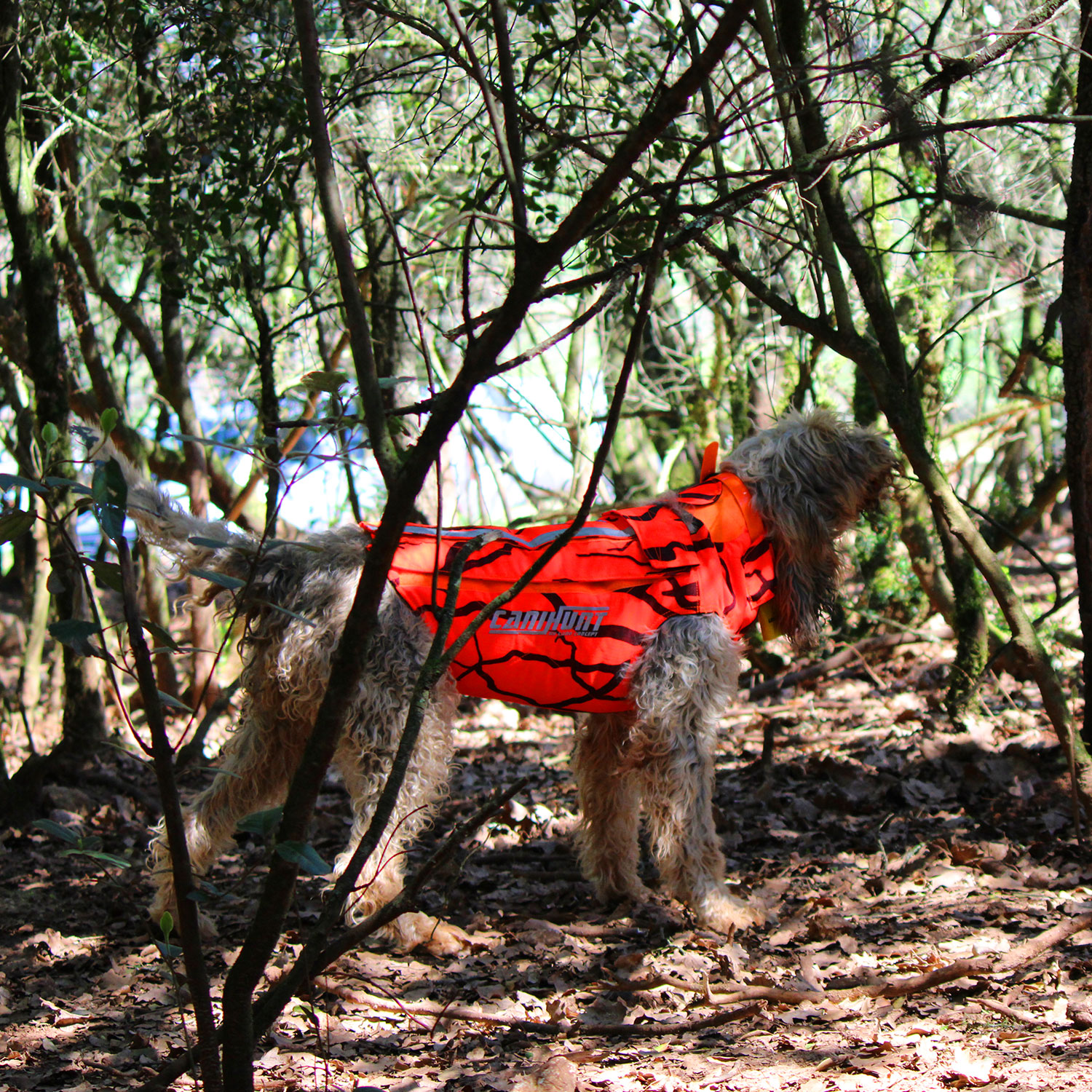 Canihunt Defender 2.0 giubbotto cane mimetico arancione