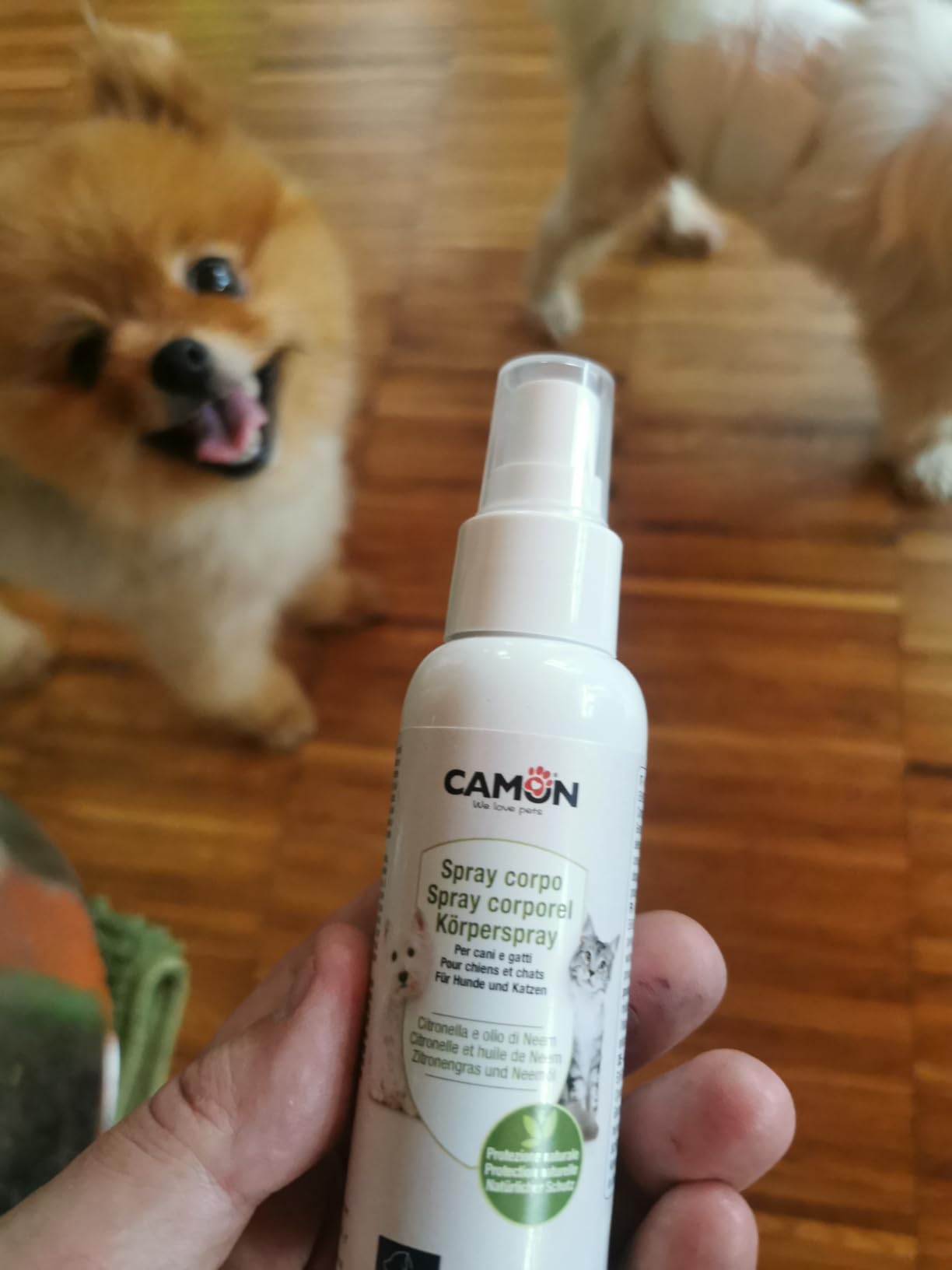 Camon Protection Spray Citronella e Neem 100ml insetti