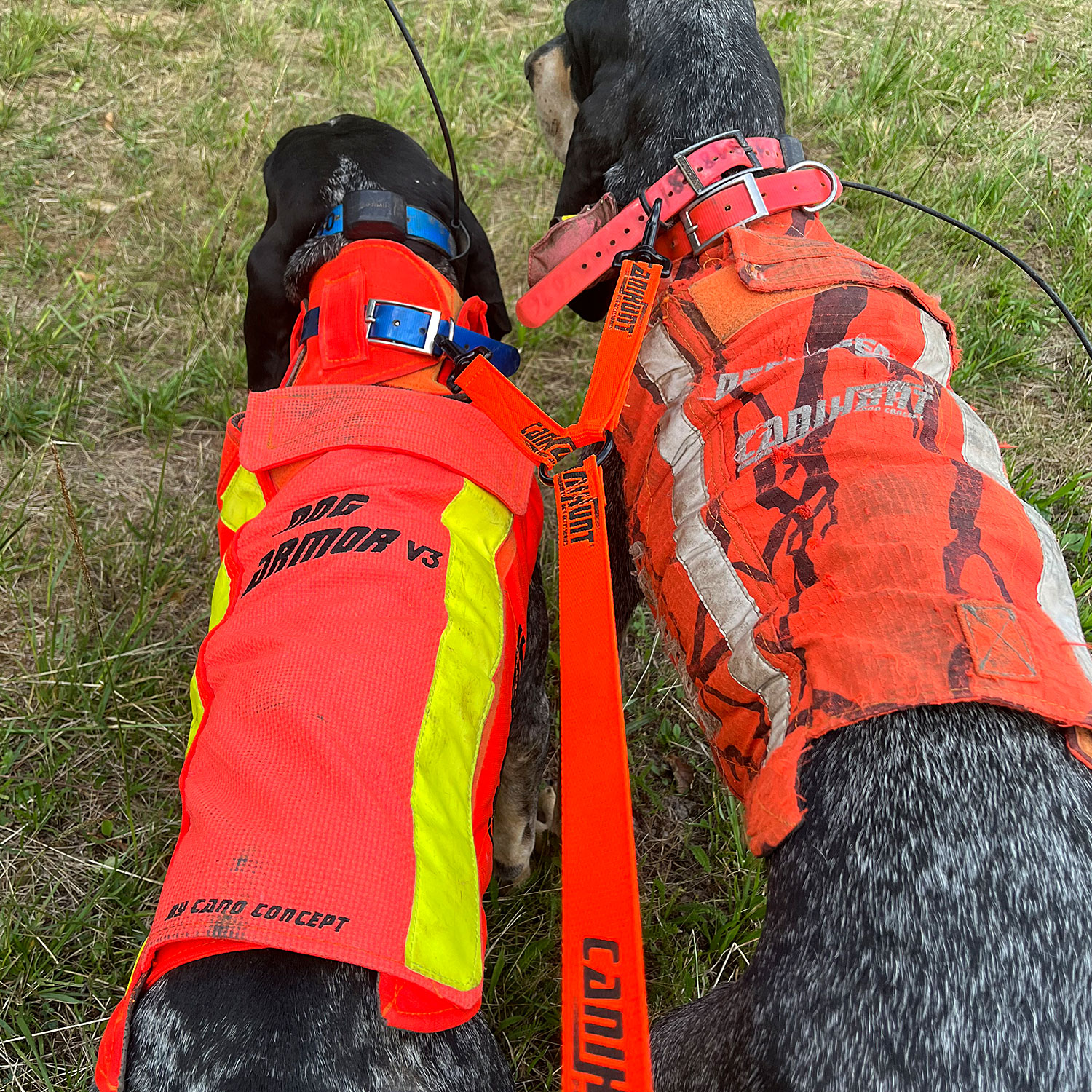 Canihunt Hunter First guinzaglio cane doppio arancione 150 cm