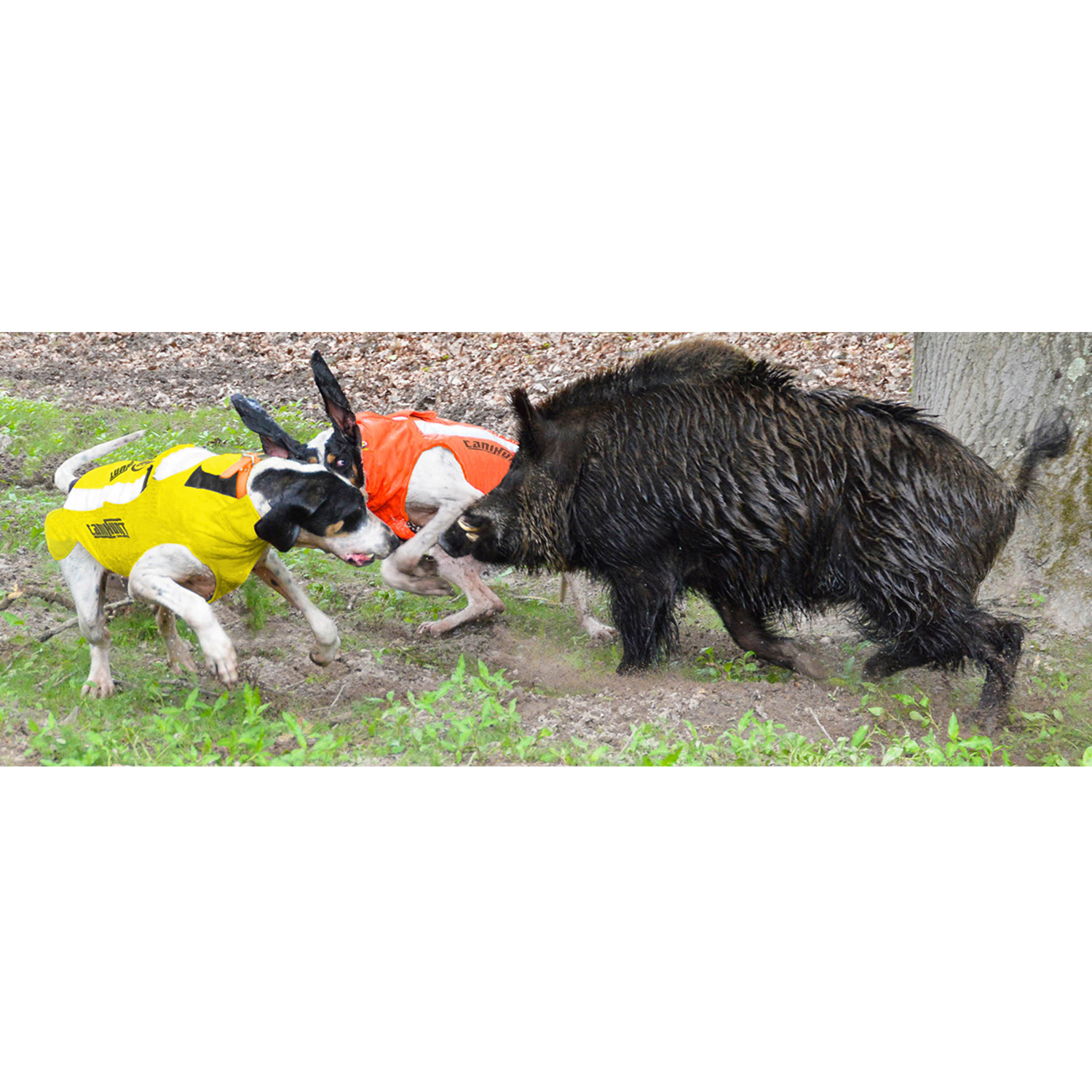 Canihunt Protect Pro Cano Giubbotto Protettivo Cane
