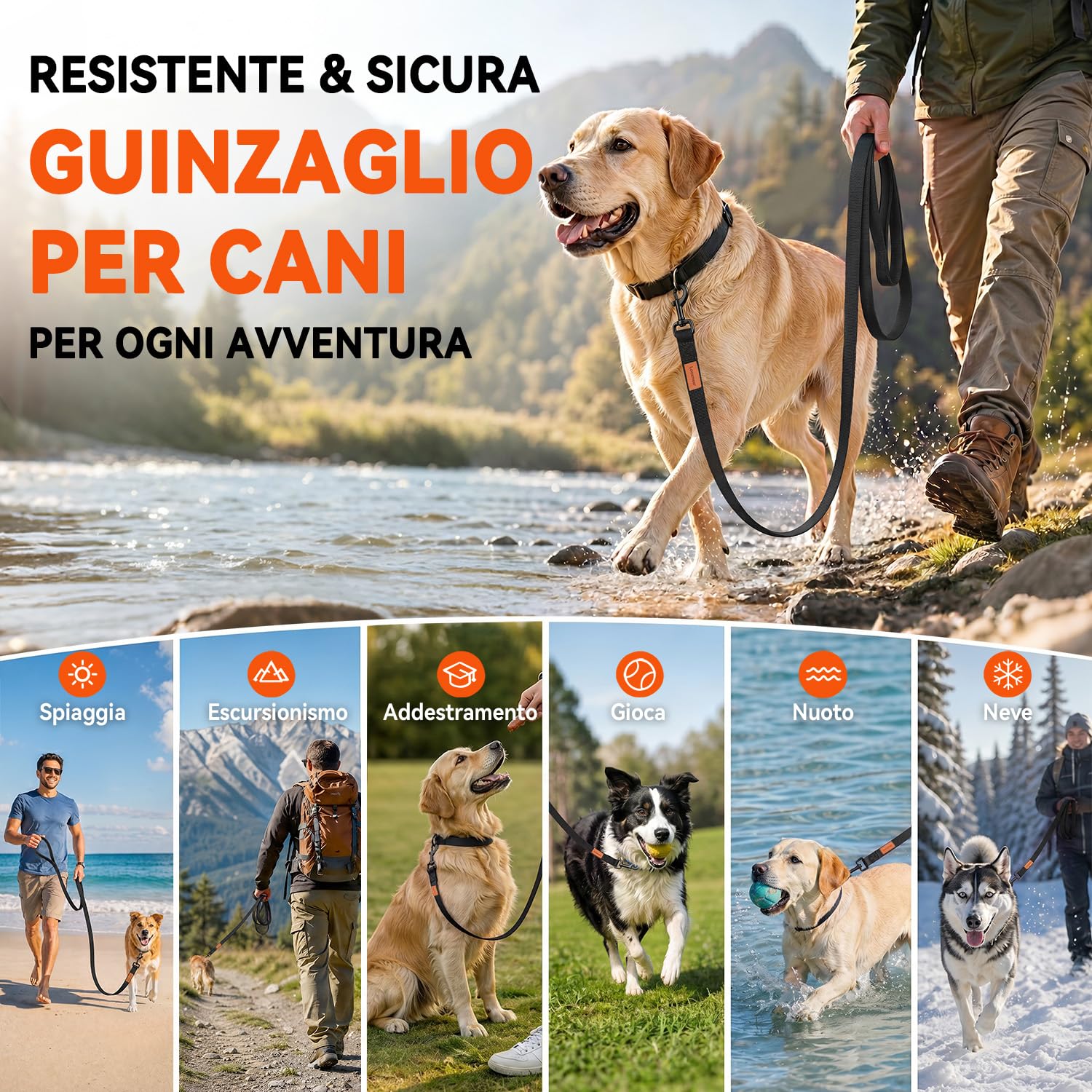 Looxmeer Guinzaglio Addestramento cane nero in nylon