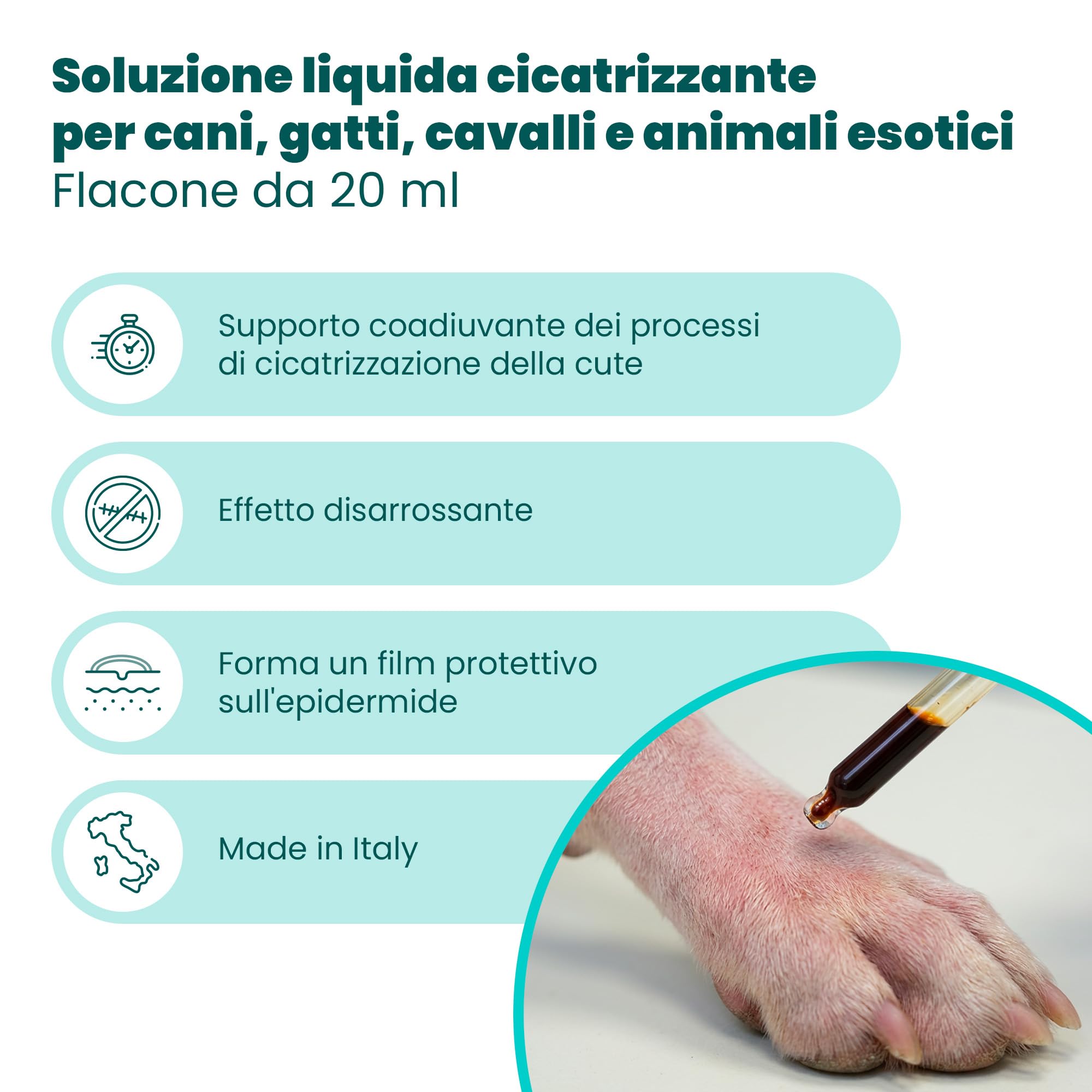 Camon Skin Energy Madre Cicatrizzante Ferite 20 ml Sangue di Drago
