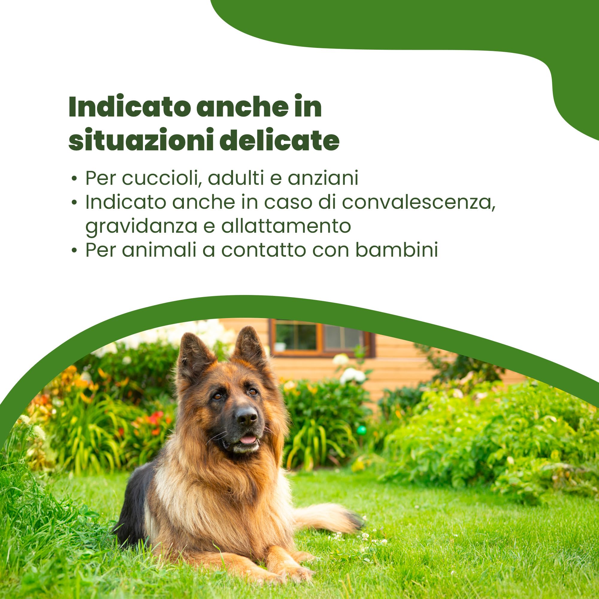 Camon Protection Spot-On fiale cani >11kg 5x5ml olio di neem