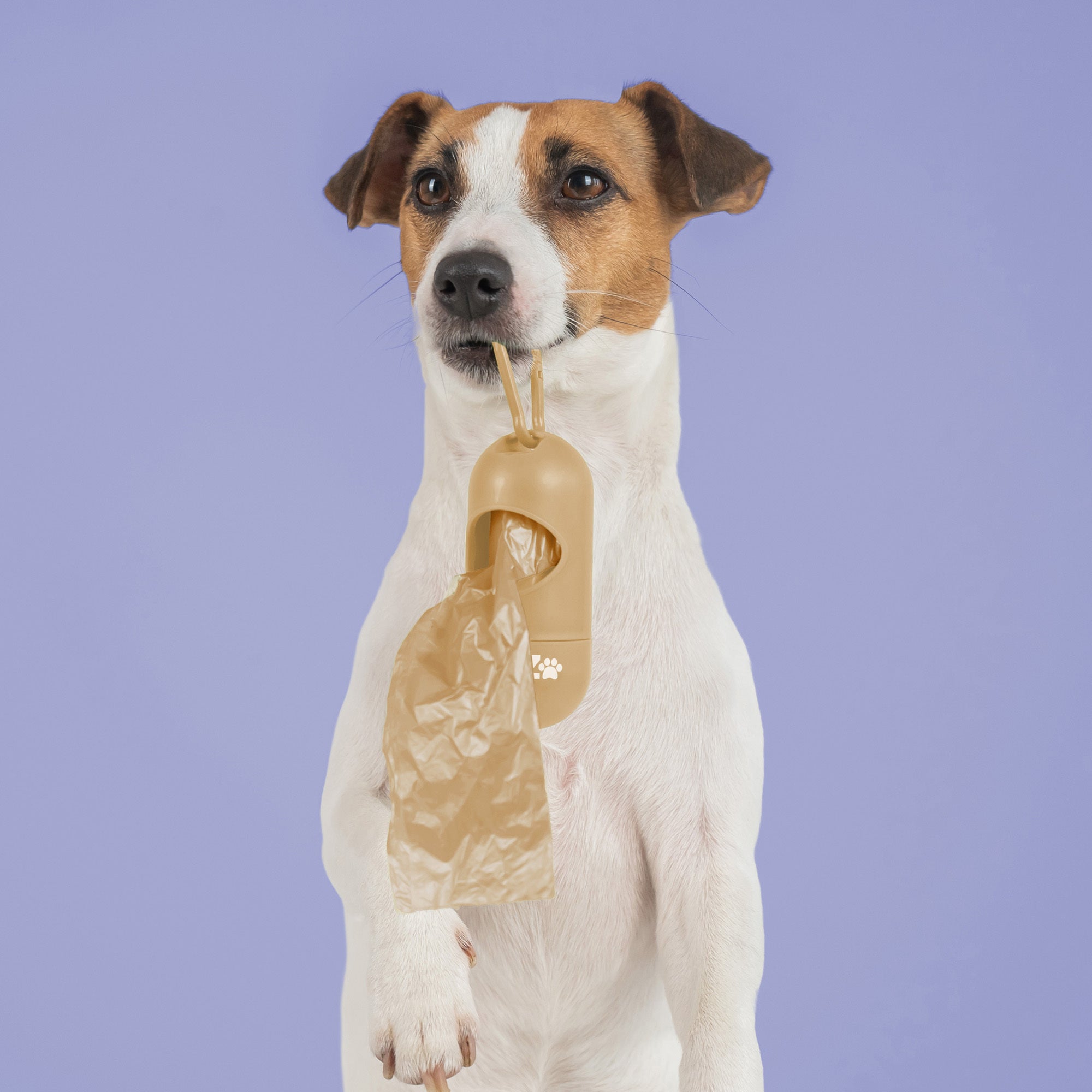 Pawz Poop Bags sacchetti igienici 400 pezzi+dispenser riciclati