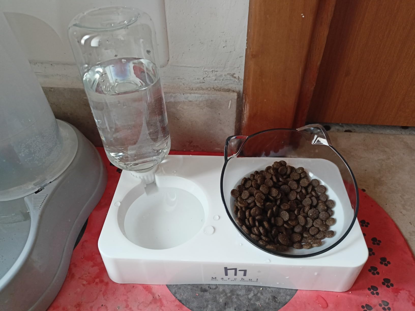 Marchul Ciotole doppie + Borraccia gatti acciaio 15°