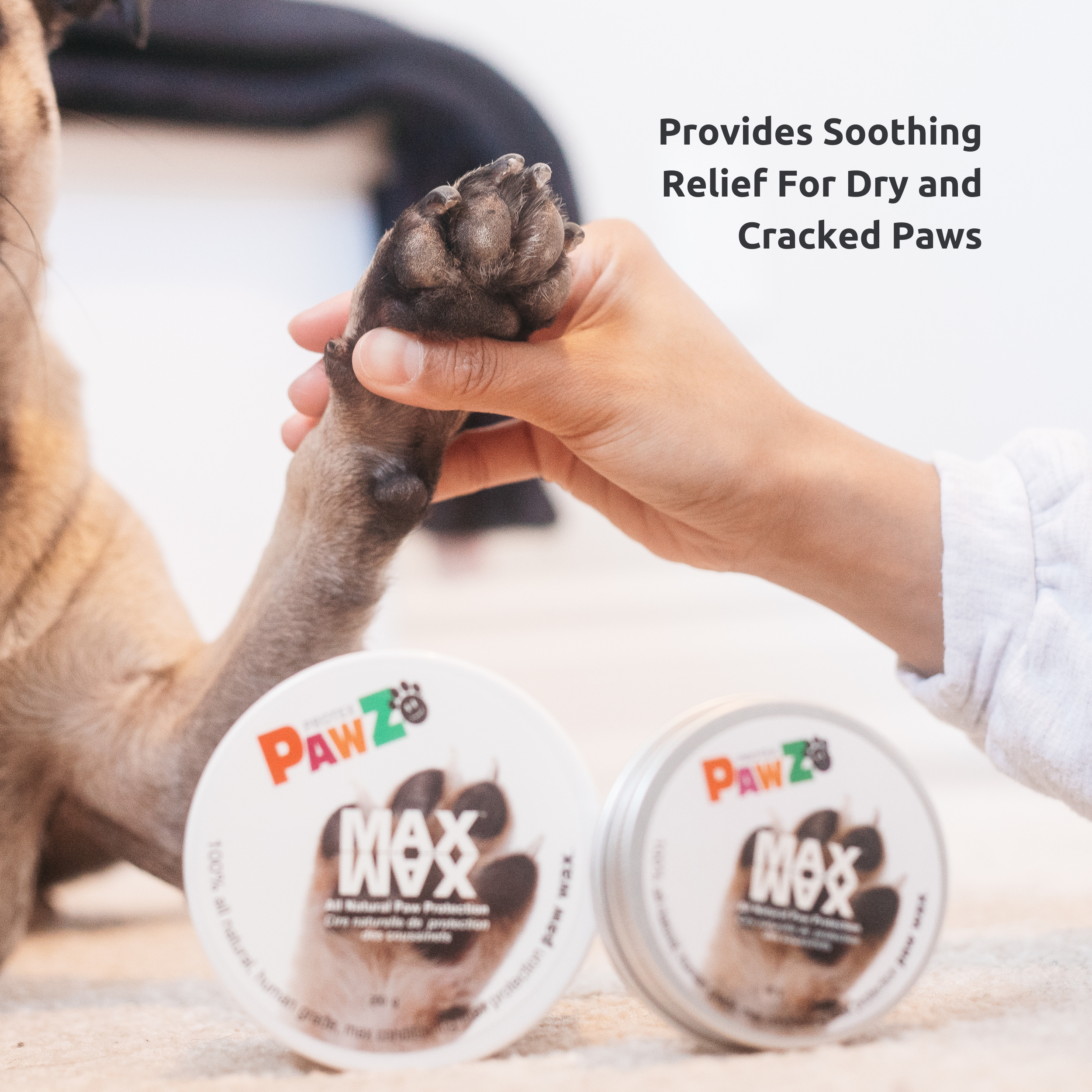 Pawz Soft Paws Kit cura zampe balsamo MaxWax 200 g