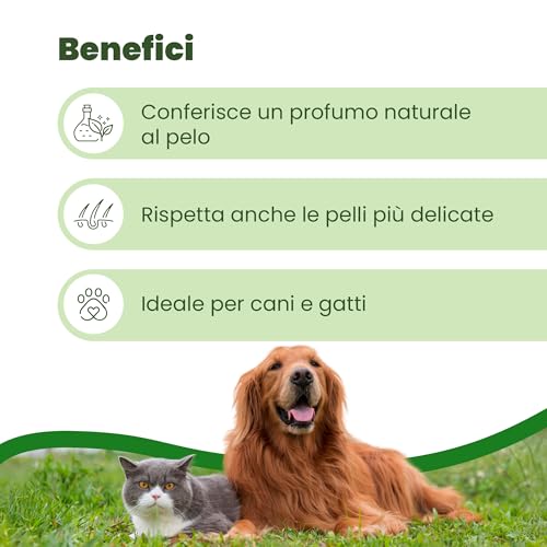 Camon Protection Spray Citronella e Neem 100ml insetti