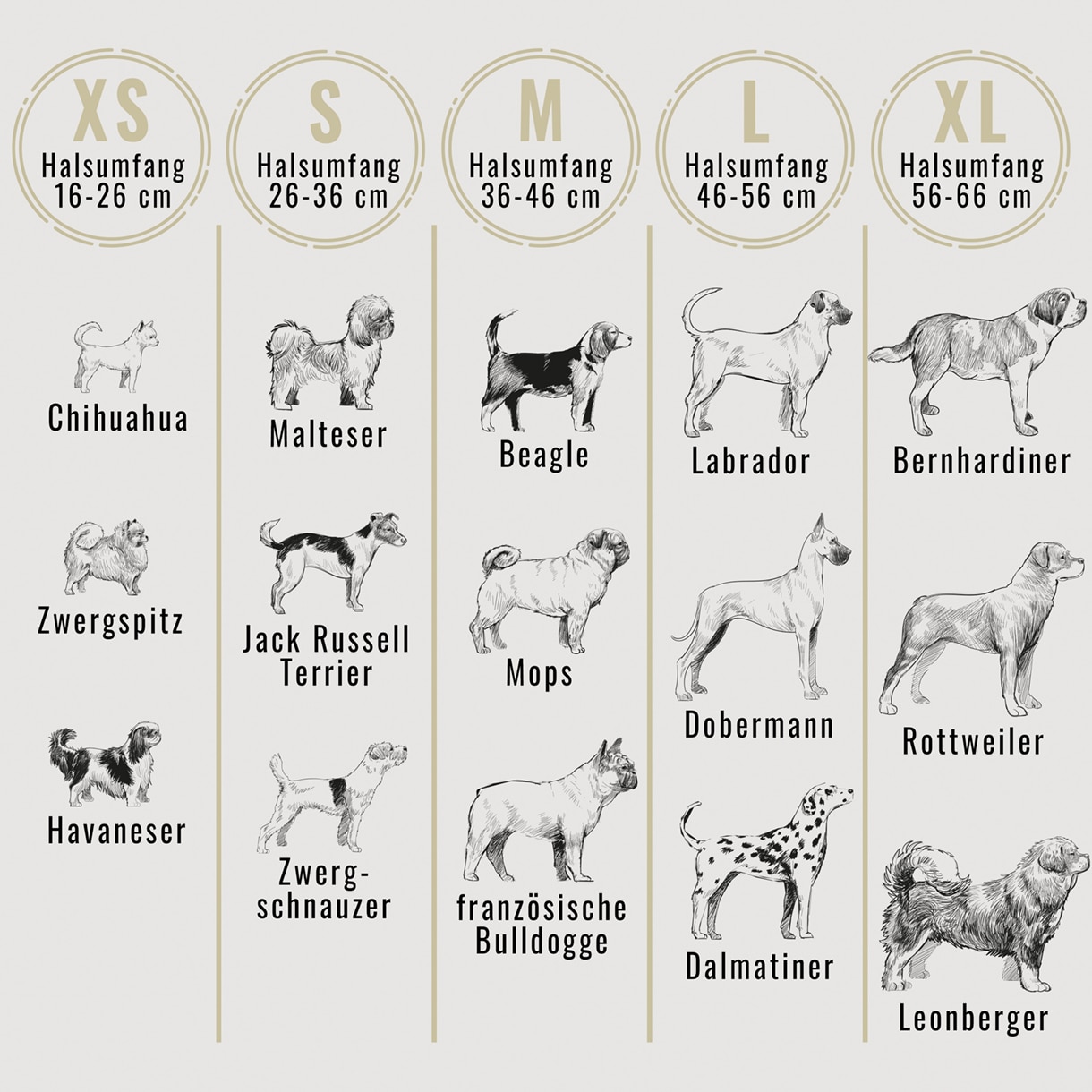 Ne&No set collare e guinzaglio pelle vegana imbottito