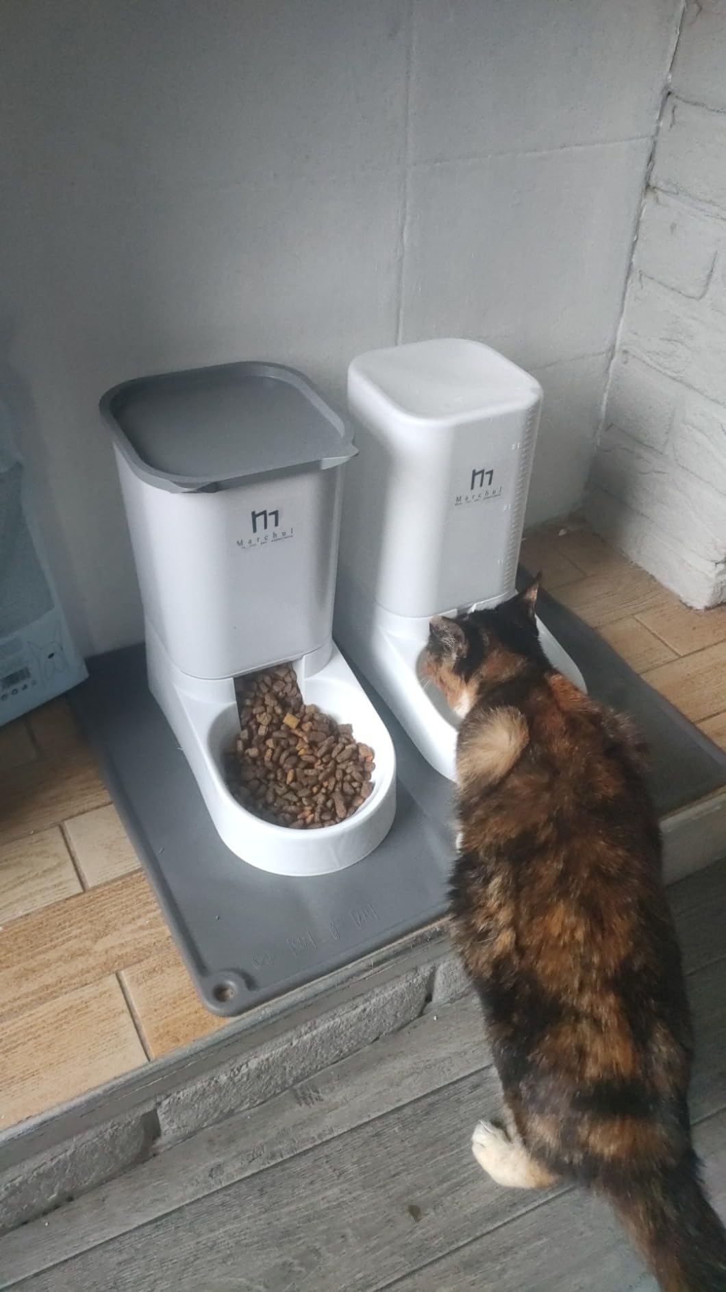 Marchul Dispenser Automatico Cibo e Acqua Cani e Gatti 3,8 L