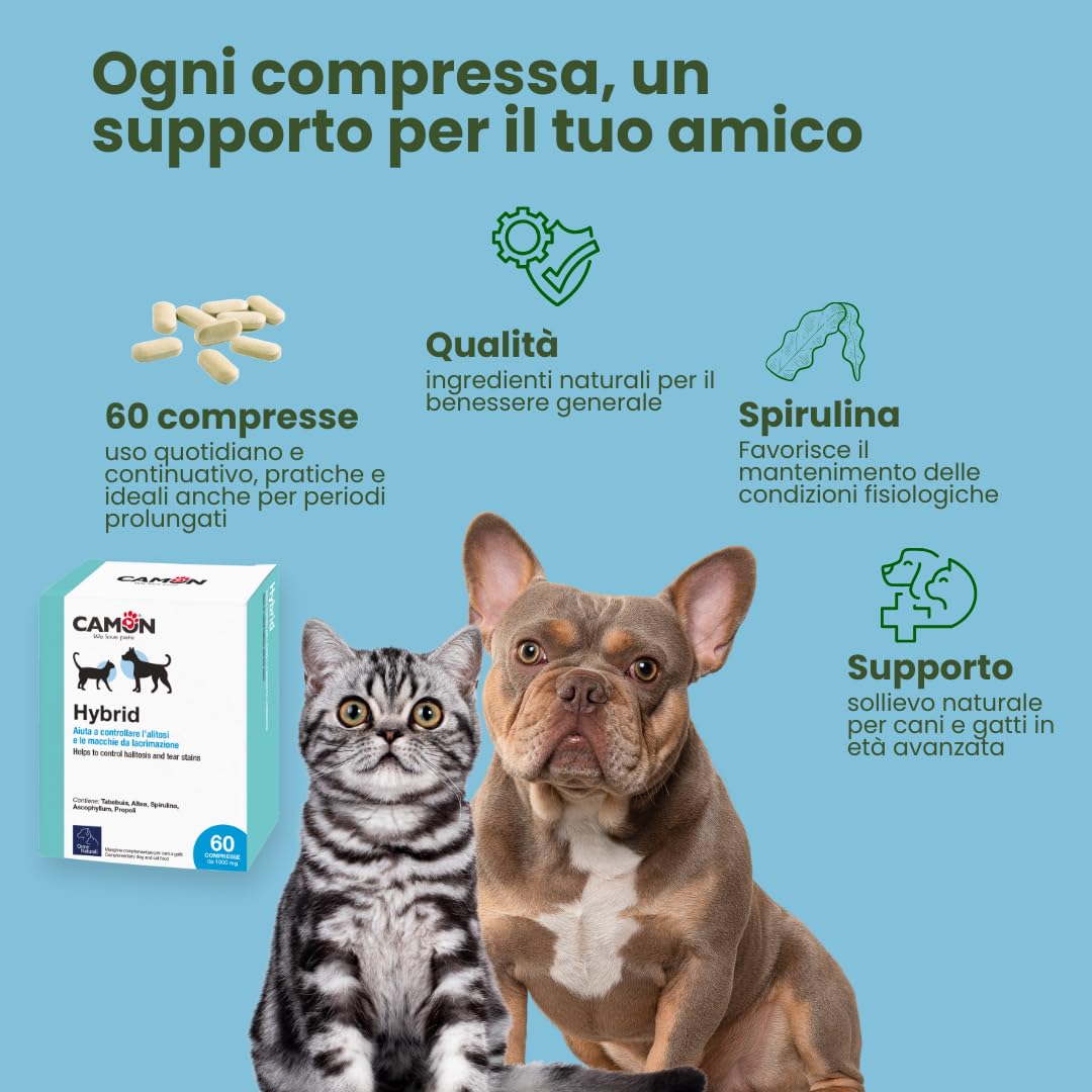 Camon Hybrid compresse per cani e gatti 60 pz alitosi