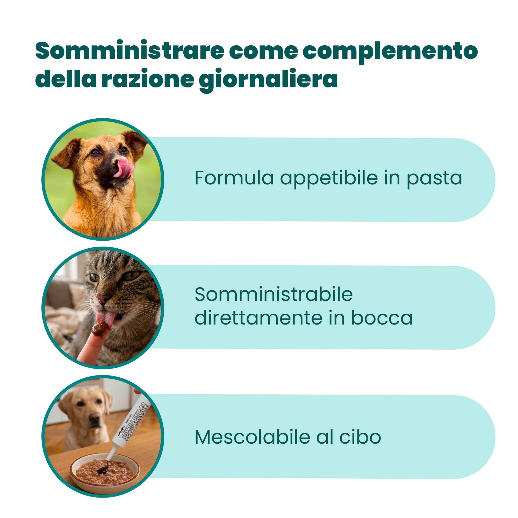 Camon Help-Nefro Pasta 30 g per Vie Urinarie
