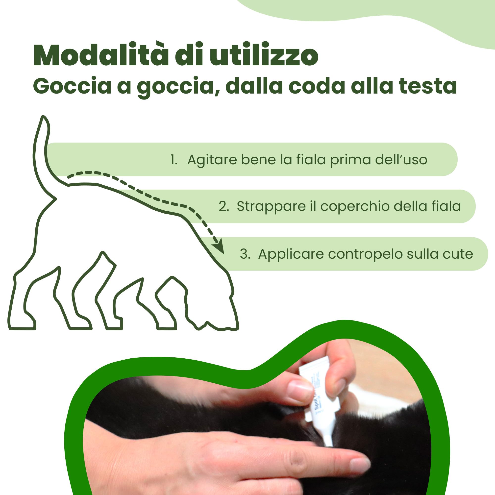 Camon Protection Spot-On cane 0-10kg 5 fiale olio neem