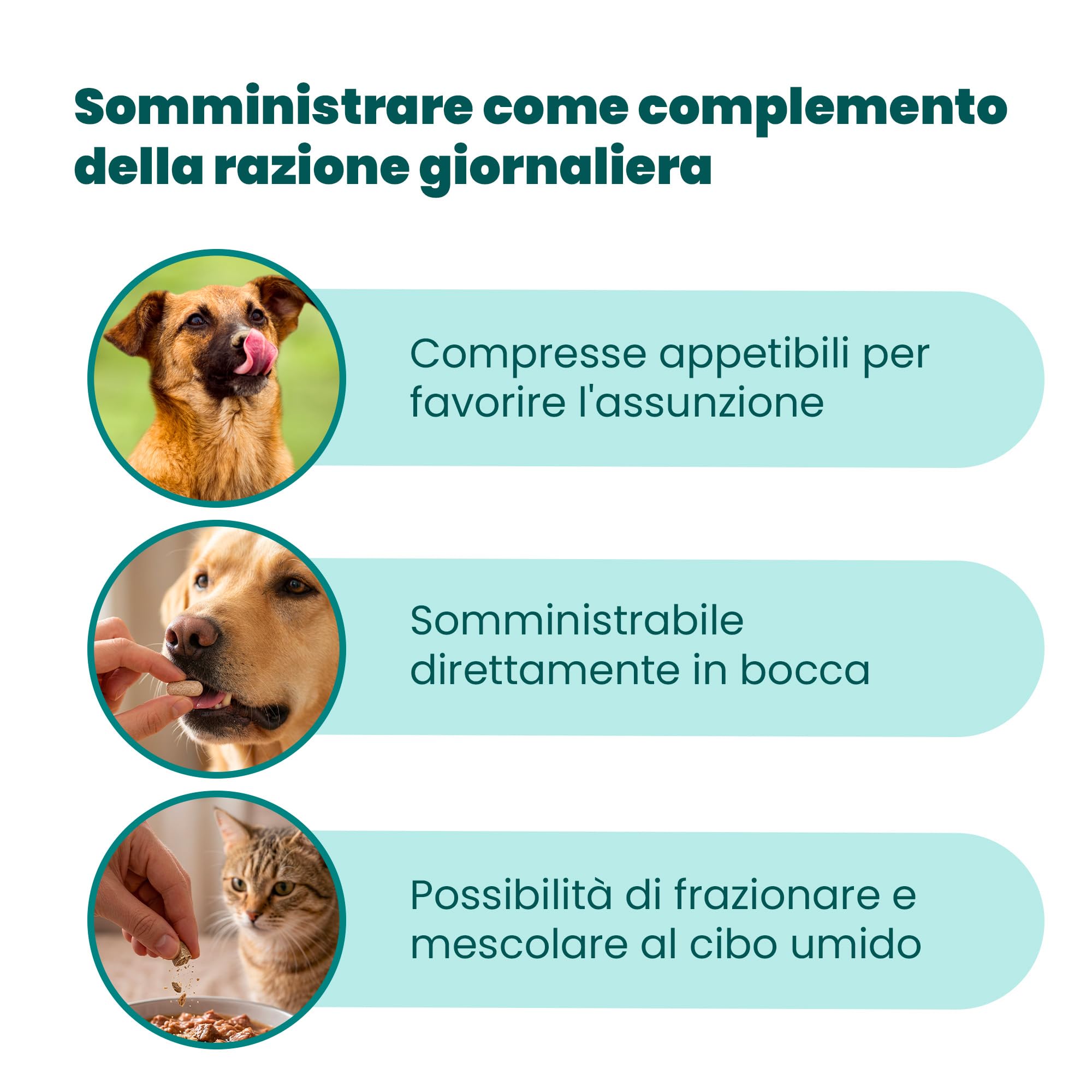 Camon HelpAge Vet integratore cani 60 compresse neutro