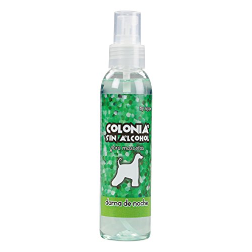Arppe 6504011503 Colonia senza alcol Lady Night 125 ml