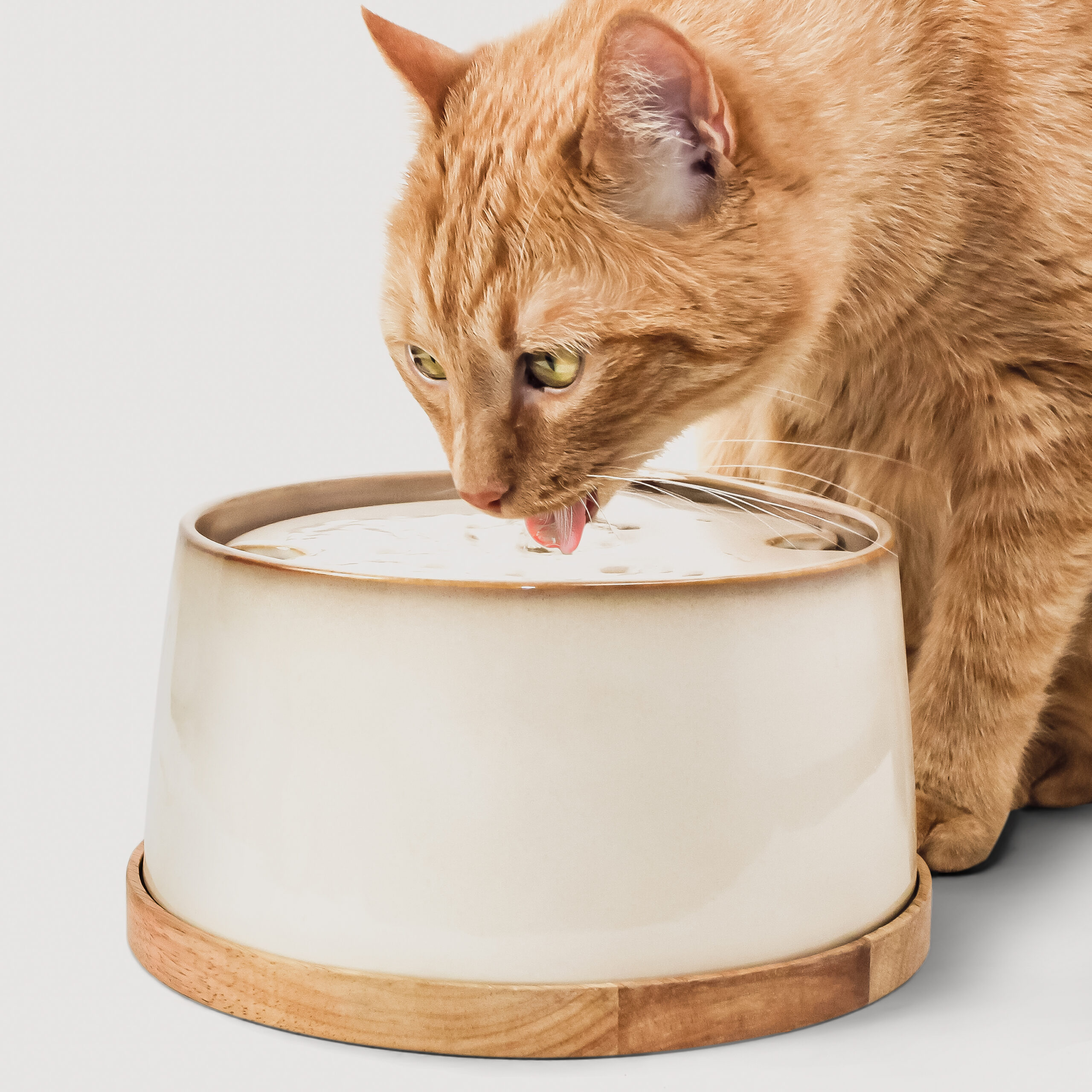 Ne&No fontana ceramica gatti 2 L base bambù