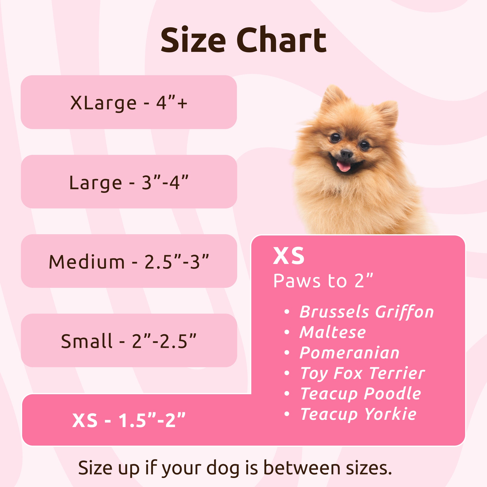 PawZ Rubber Dog Boots scarpette cane 12 pz rosa impermeabili