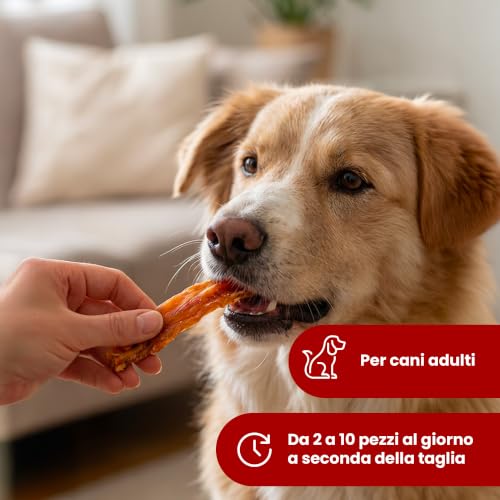 Camon Treats Strisce Pollo Snack Cane 80 g Senza Glutine