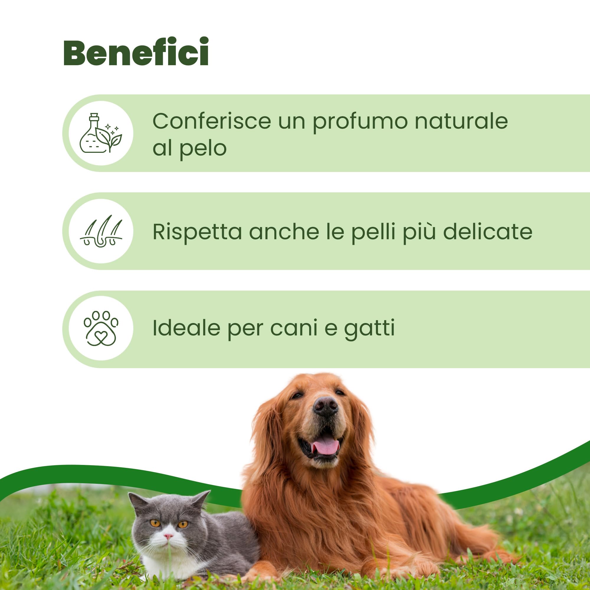 Camon Protection Spray Citronella e Neem 100ml insetti