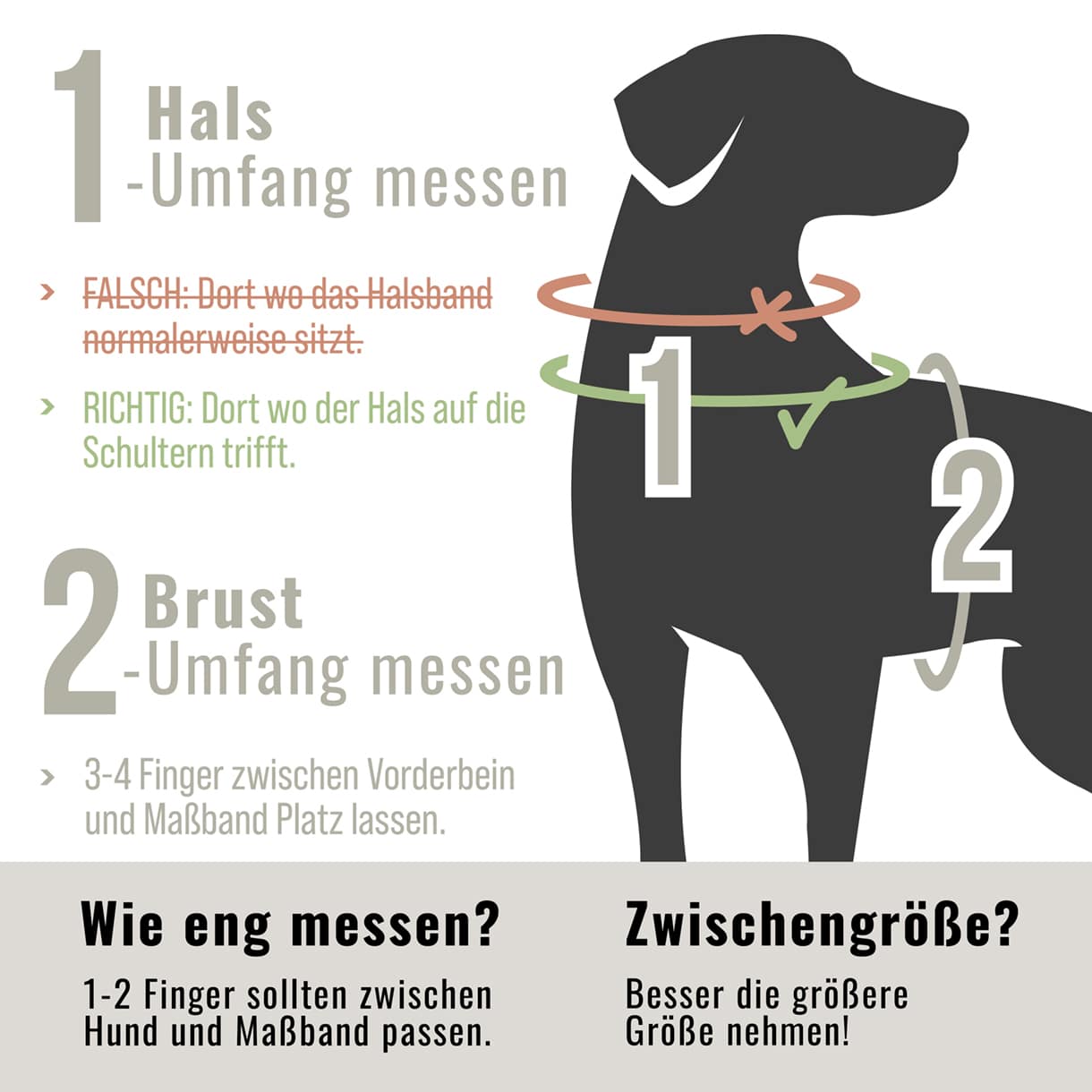 Ne&No Outdoor pettorina cani riflettente sicura in auto