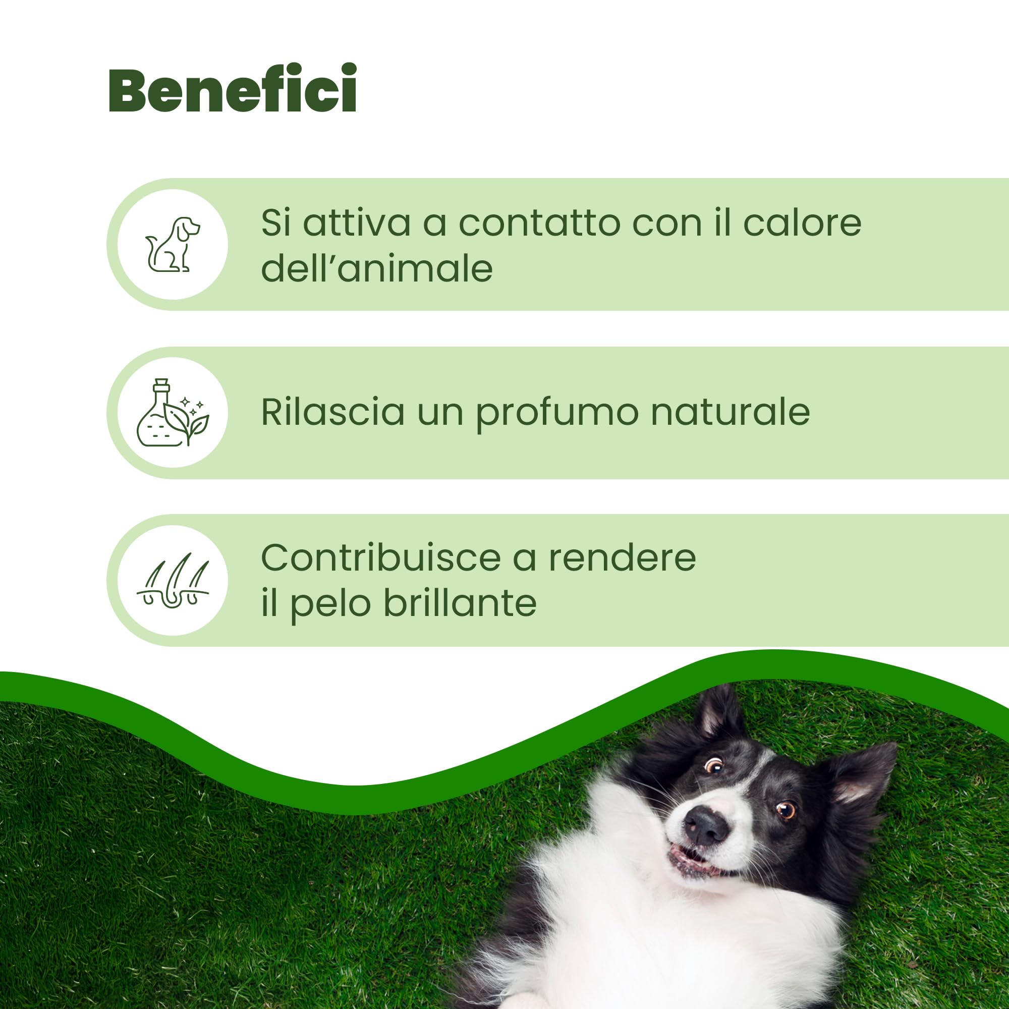 Camon Collare Protettivo Olio di Neem Cane 75 cm 1 Pezzo
