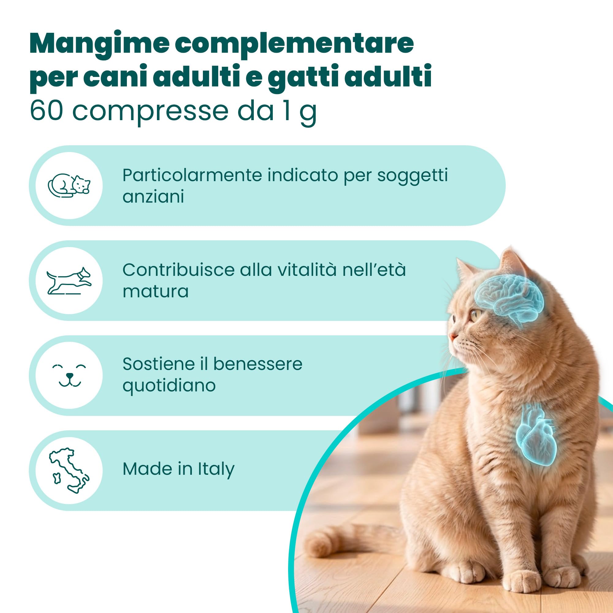 Camon HelpAge Vet integratore cani 60 compresse neutro