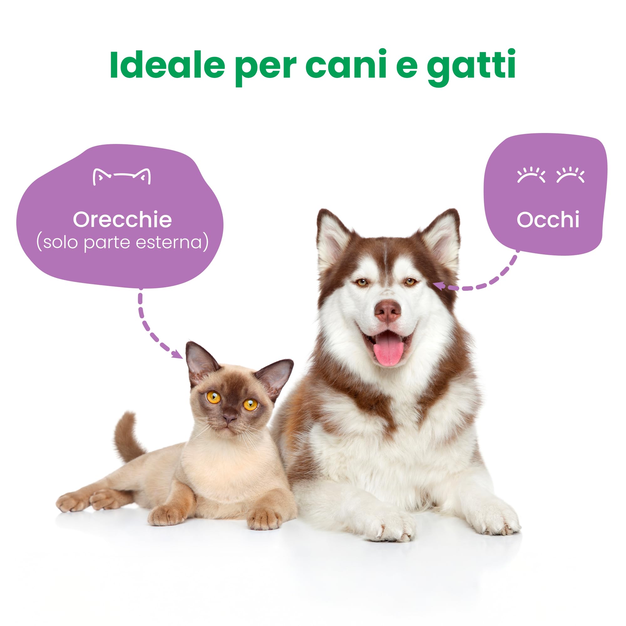 Camon Protection salviette occhi e orecchie 17x20cm 15pz senza alcol