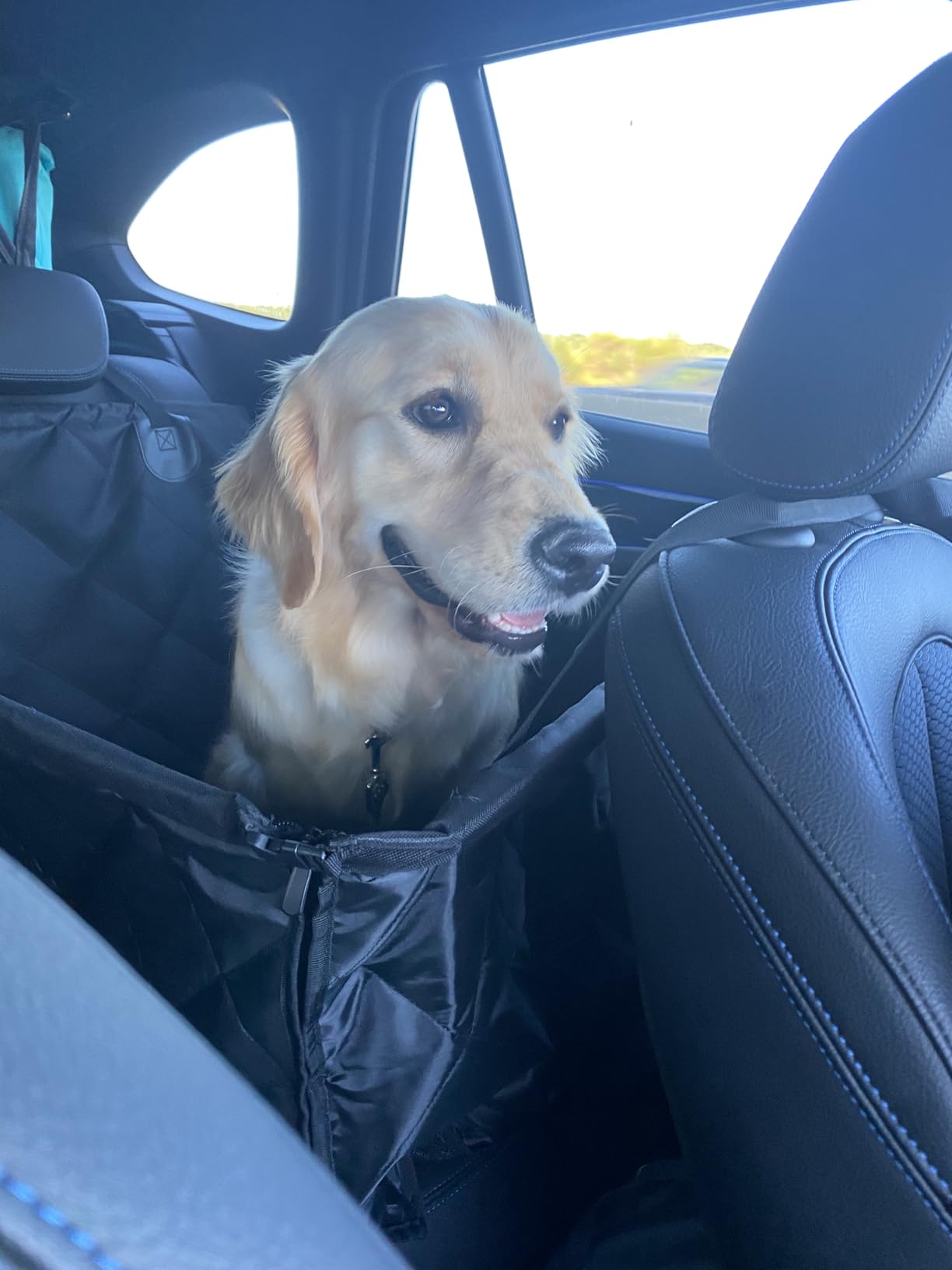 Looxmeer Seggiolino Auto per Cani Taglia Piccola Media Impermeabile
