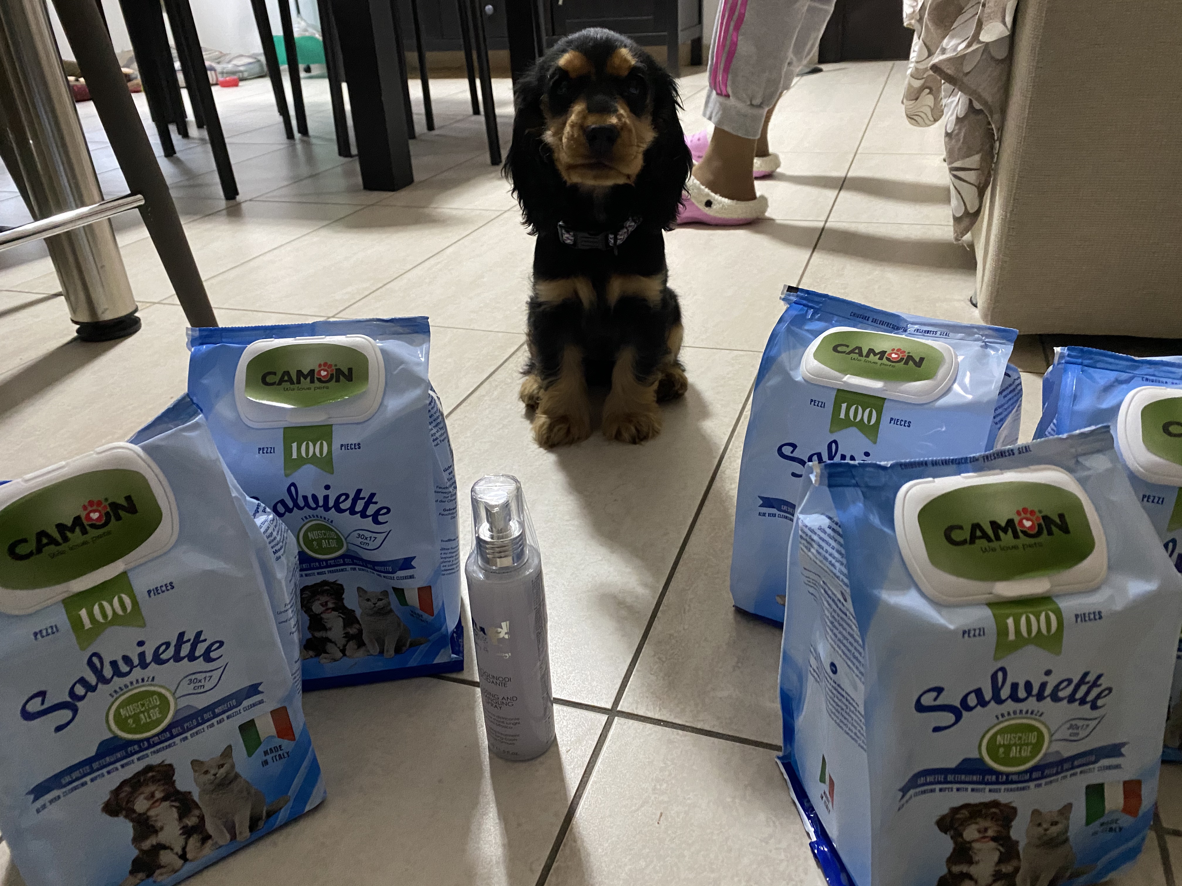 Camon Salviettine Maxiformato 100pz Muschio Aloe 5 Confezioni