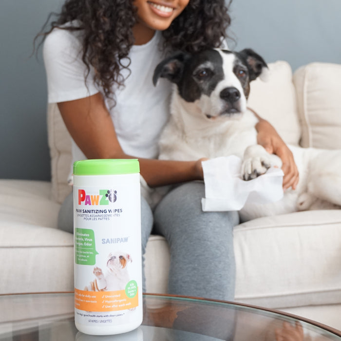 Pawz SaniPaw Salviette zampe cane inodori 60 pezzi