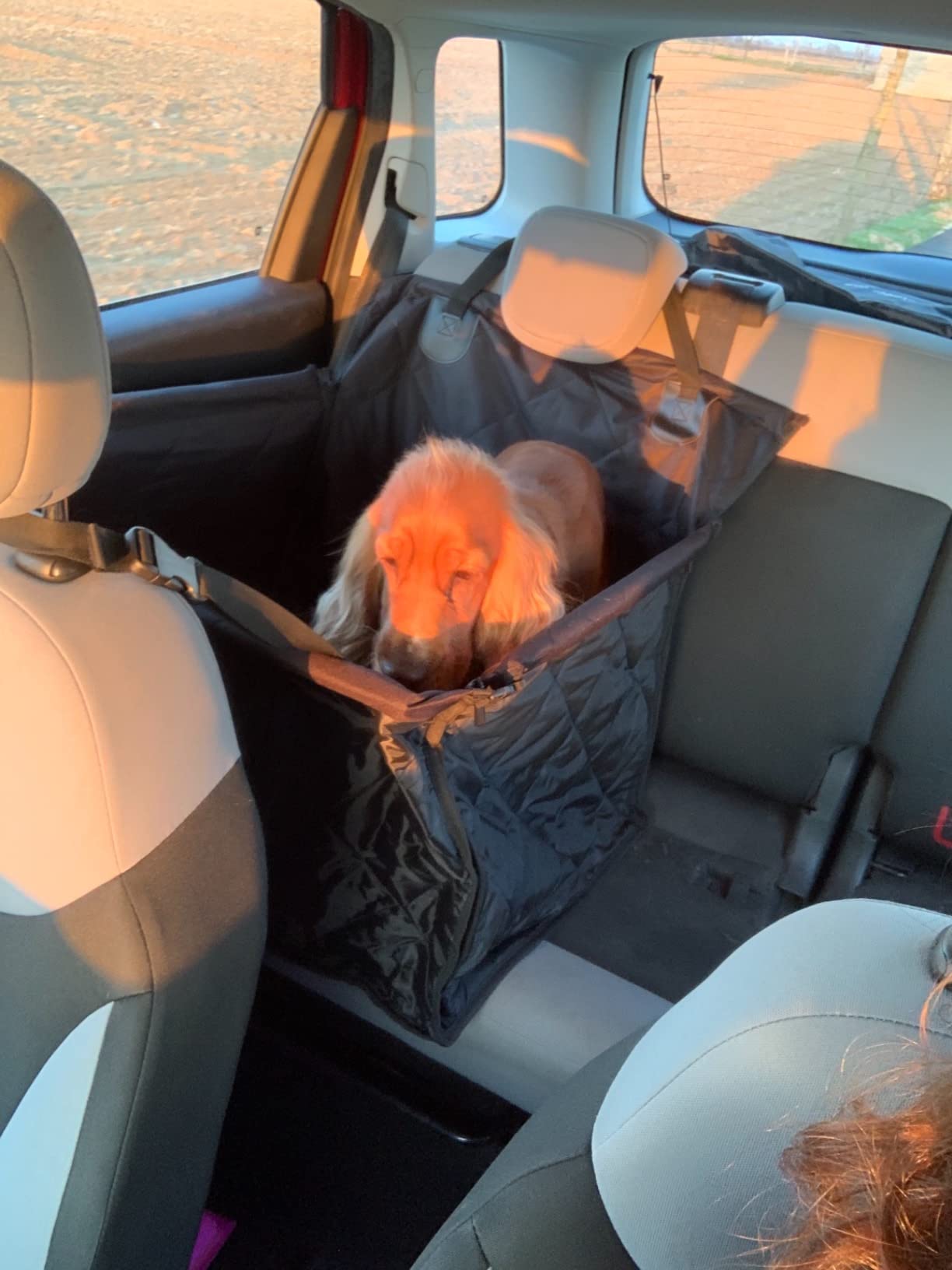 Looxmeer Seggiolino Auto per Cani Taglia Piccola Media Impermeabile