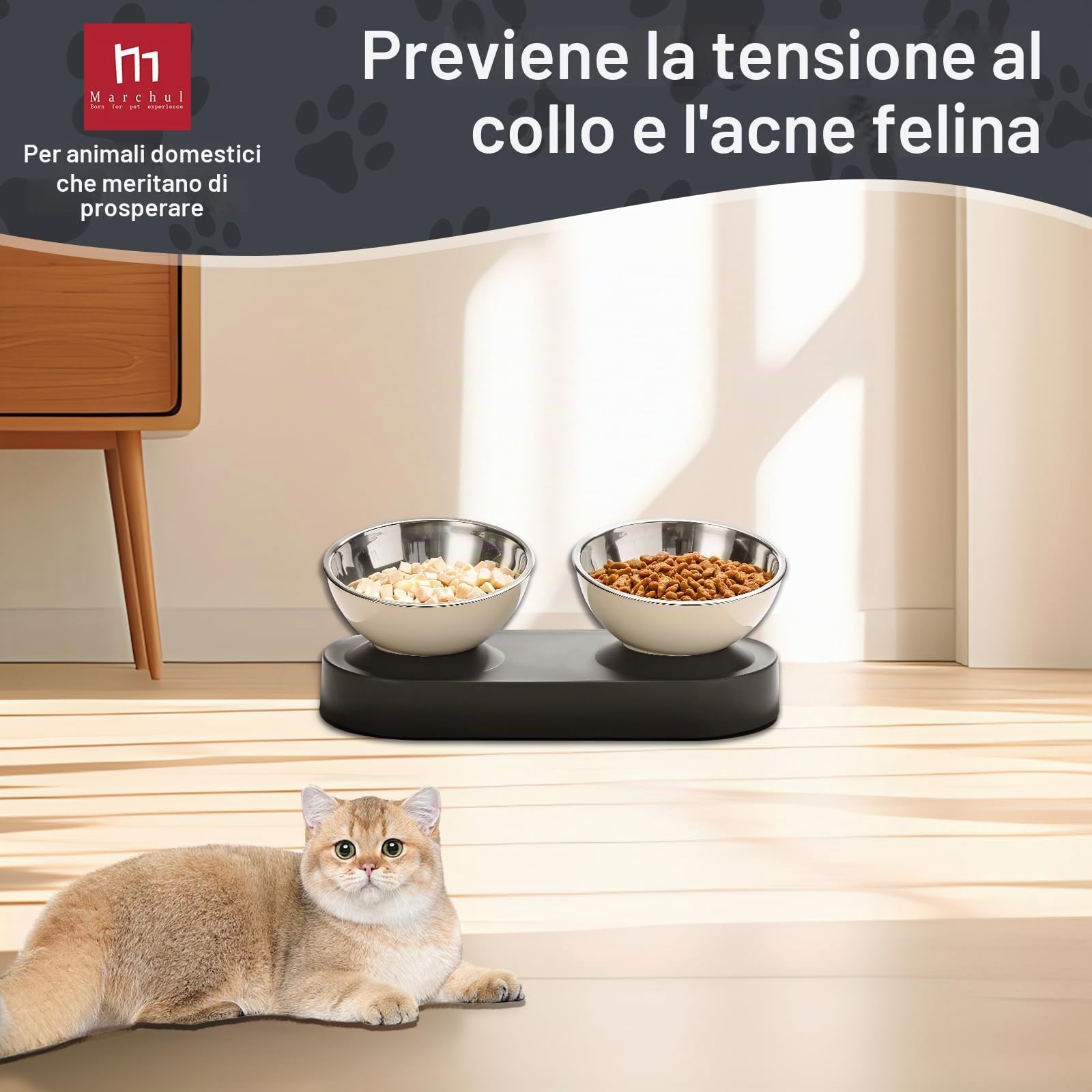 Marchul Ciotole doppie gatti acciaio inox rialzate 15°