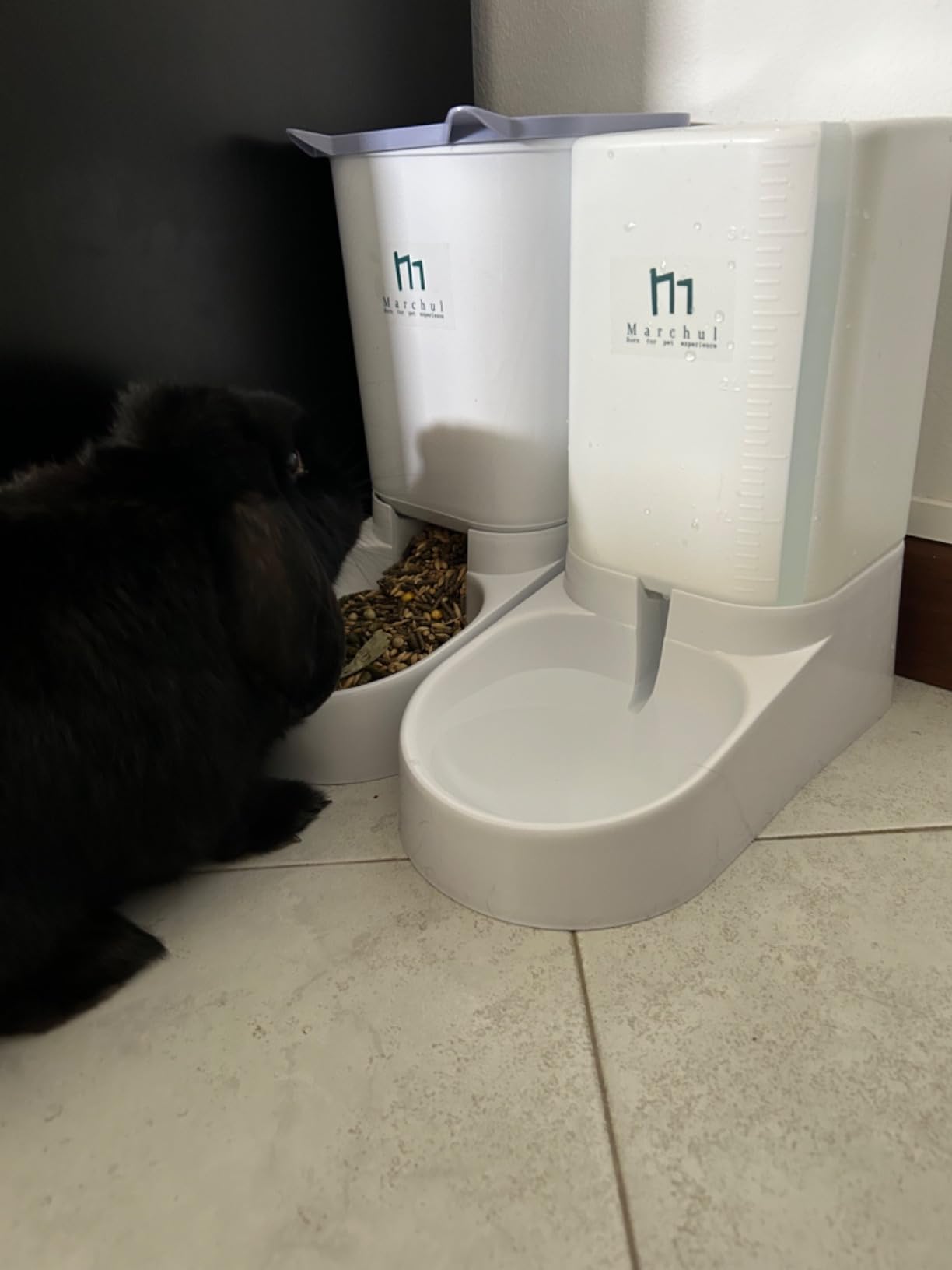 Marchul Set Distributore Automatico Cibo e Acqua 3,8 L