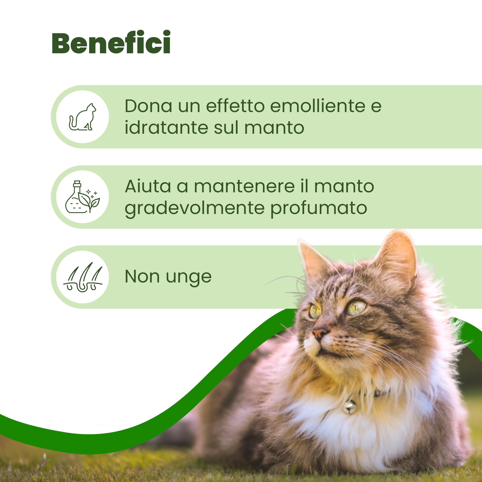 Camon Protection Spot-On gatto 5 fiale neem 2 ml