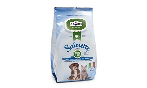 Camon Salviettine Maxiformato 100pz Muschio Aloe 5 Confezioni