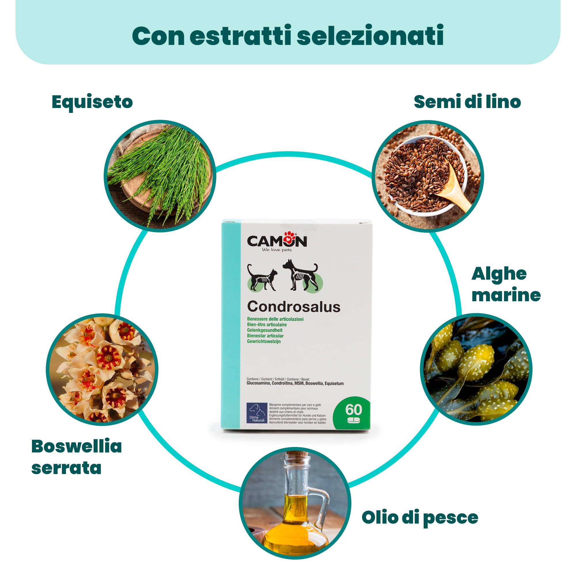 Camon Condrosalus Integratore Articolazioni 60 Compresse Cane