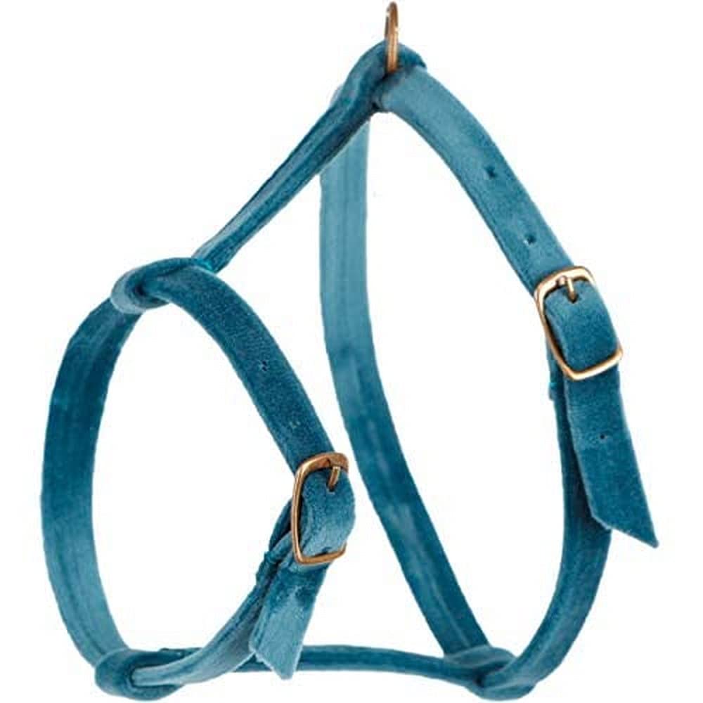 Arppe Baviera Pettorina Gatto in Velluto Blu Piombo