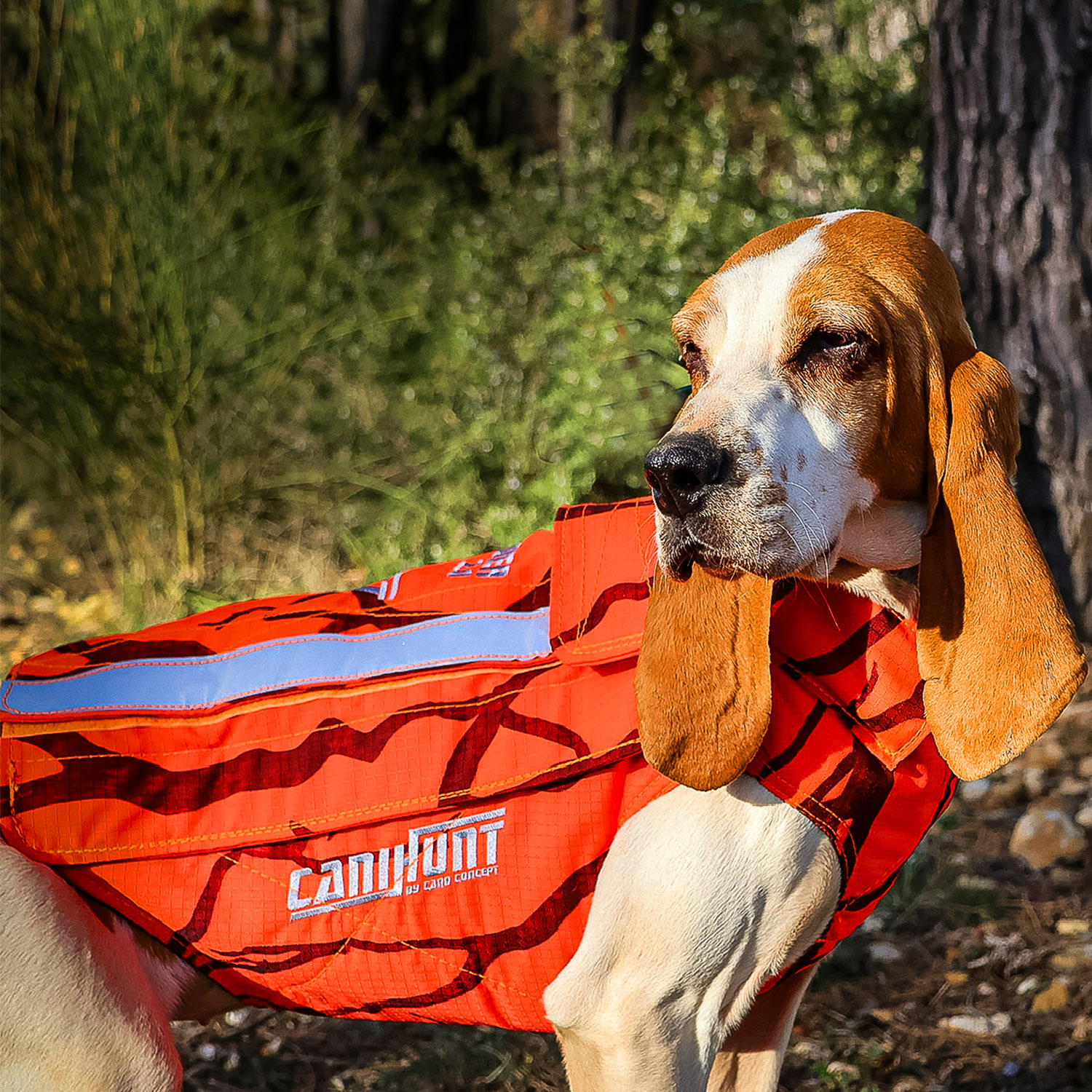 Canihunt Defender 2.0 giubbotto cane mimetico arancione