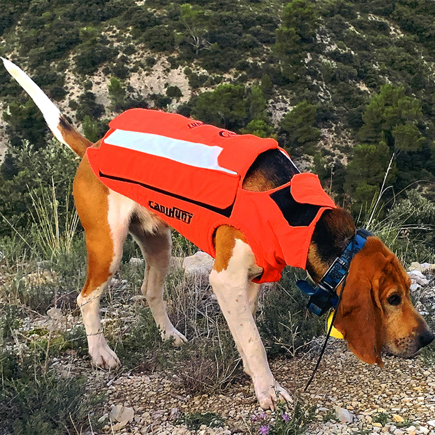 Canihunt Protect Light gilet protettivo cane leggero