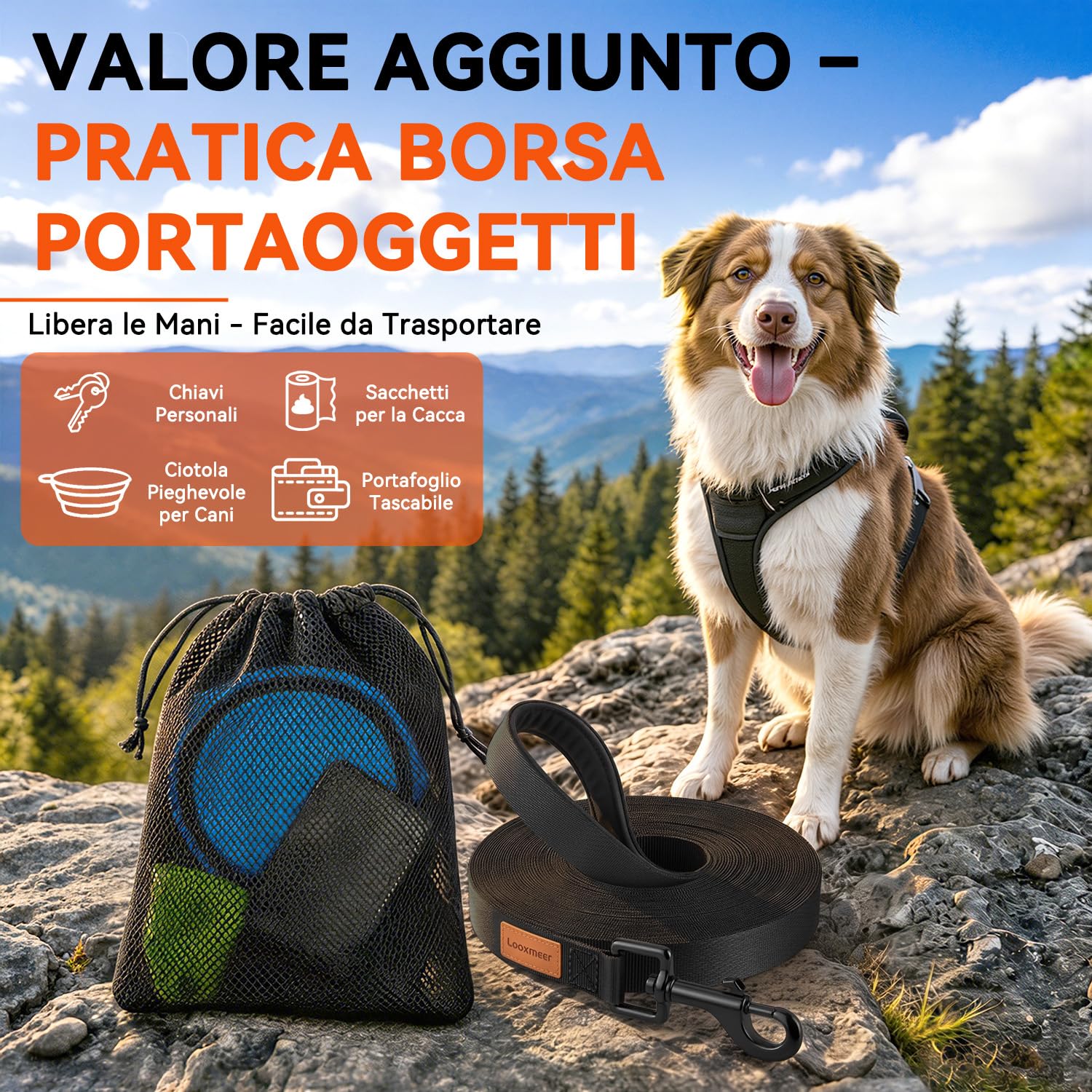 Looxmeer Guinzaglio Addestramento cane nero in nylon