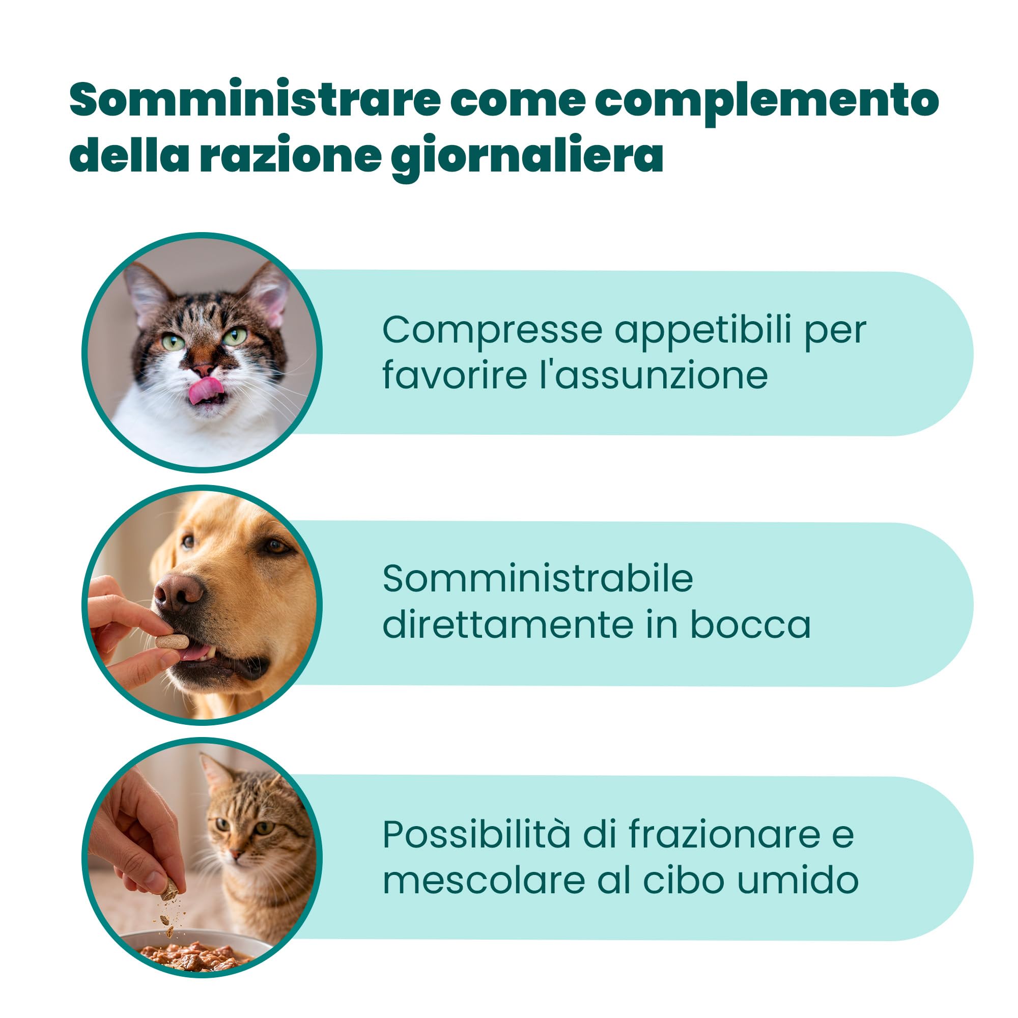 Camon Artosalus Articolazioni Cani Gatti 30 Compresse