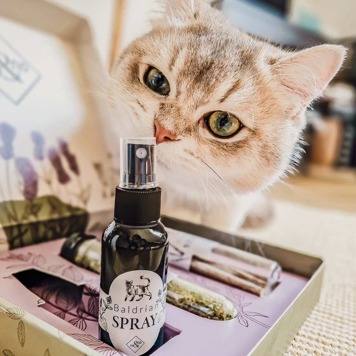 Ne&No spray valeriana gatti set 2x50 ml