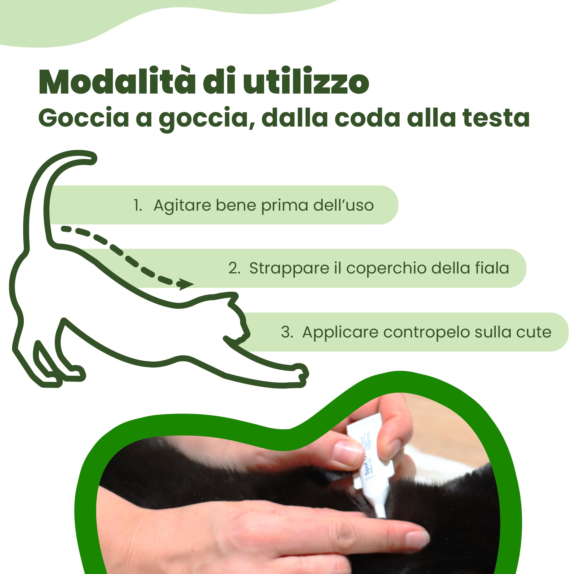Camon Protection Spot-On gatto 5 fiale neem 2 ml