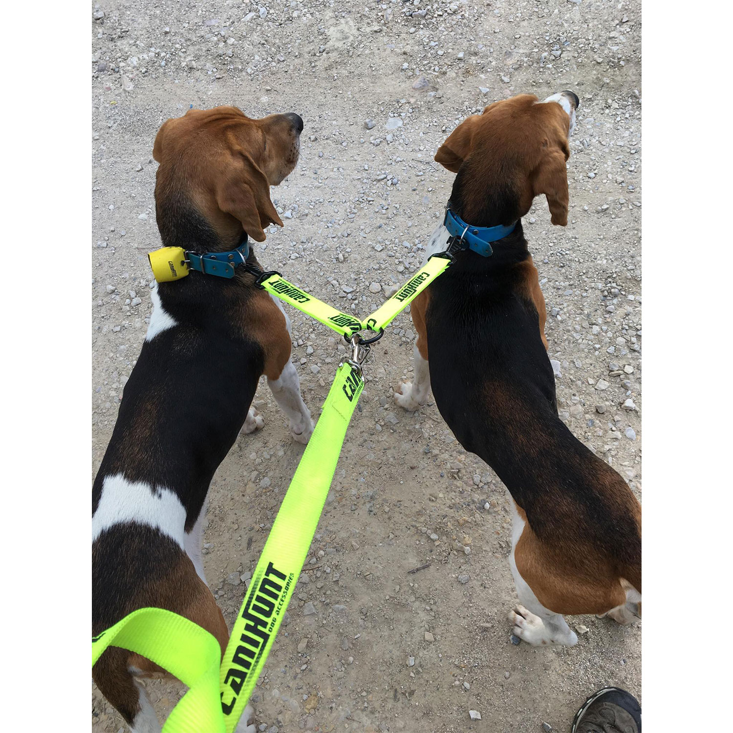 Canihunt Hunter guinzaglio doppio per cani giallo 150 cm