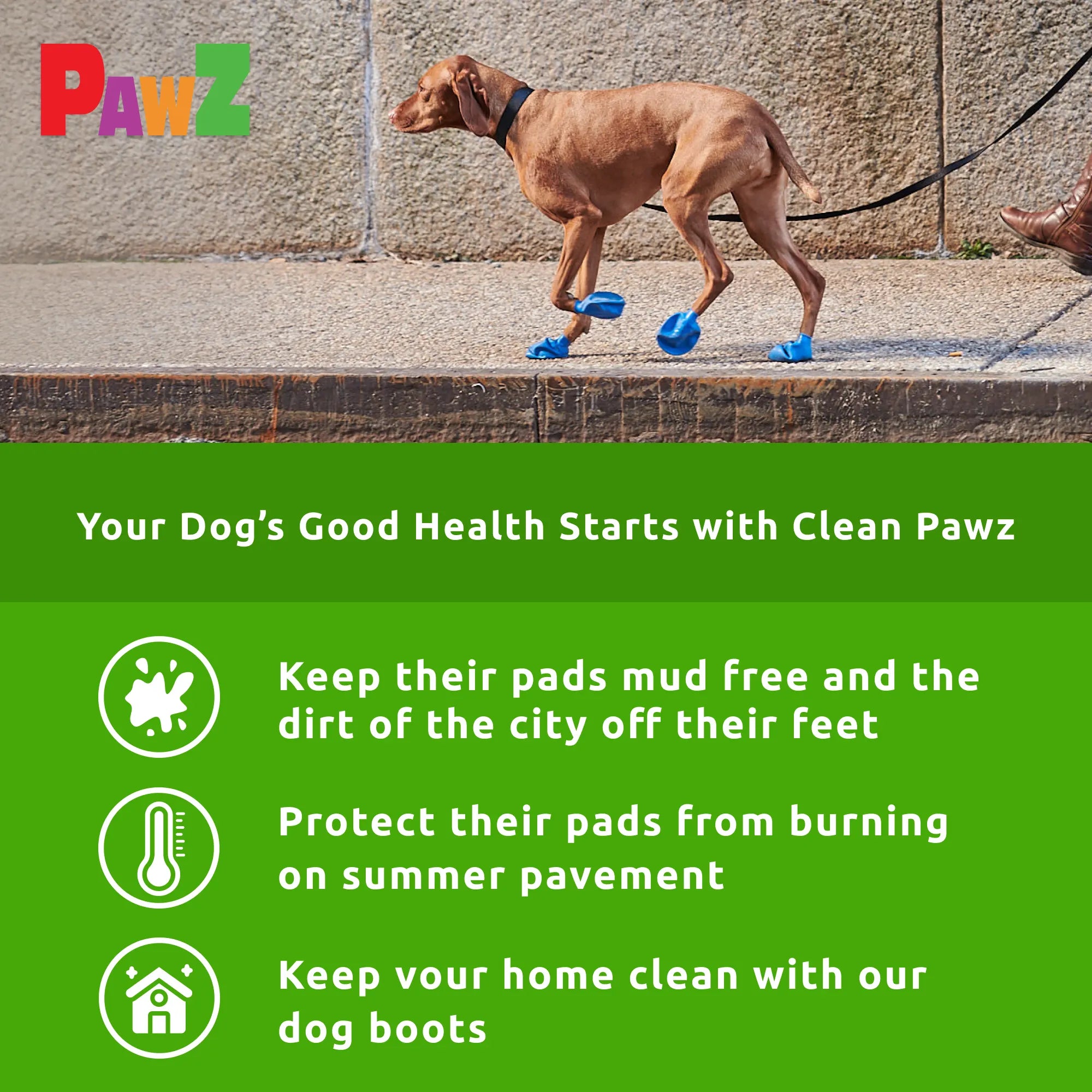 PawZ Rubber Dog Boots scarpette cane 12 pz colori classici