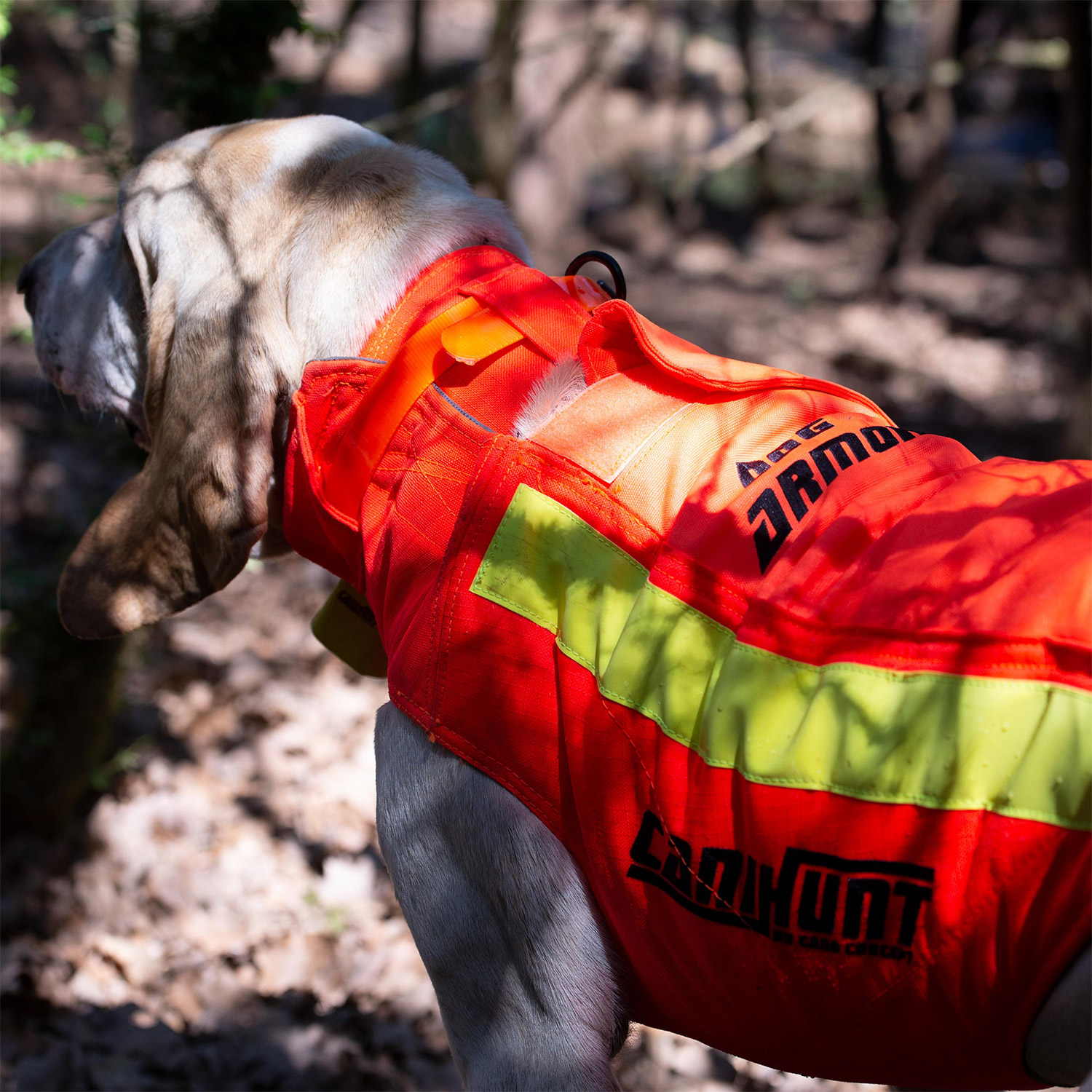 Canihunt Protect Dog Armor V3 giubbotto cane arancione