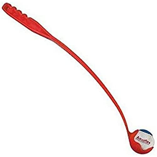 Arppe 3011010500 Palline Tennis Gioco Cane